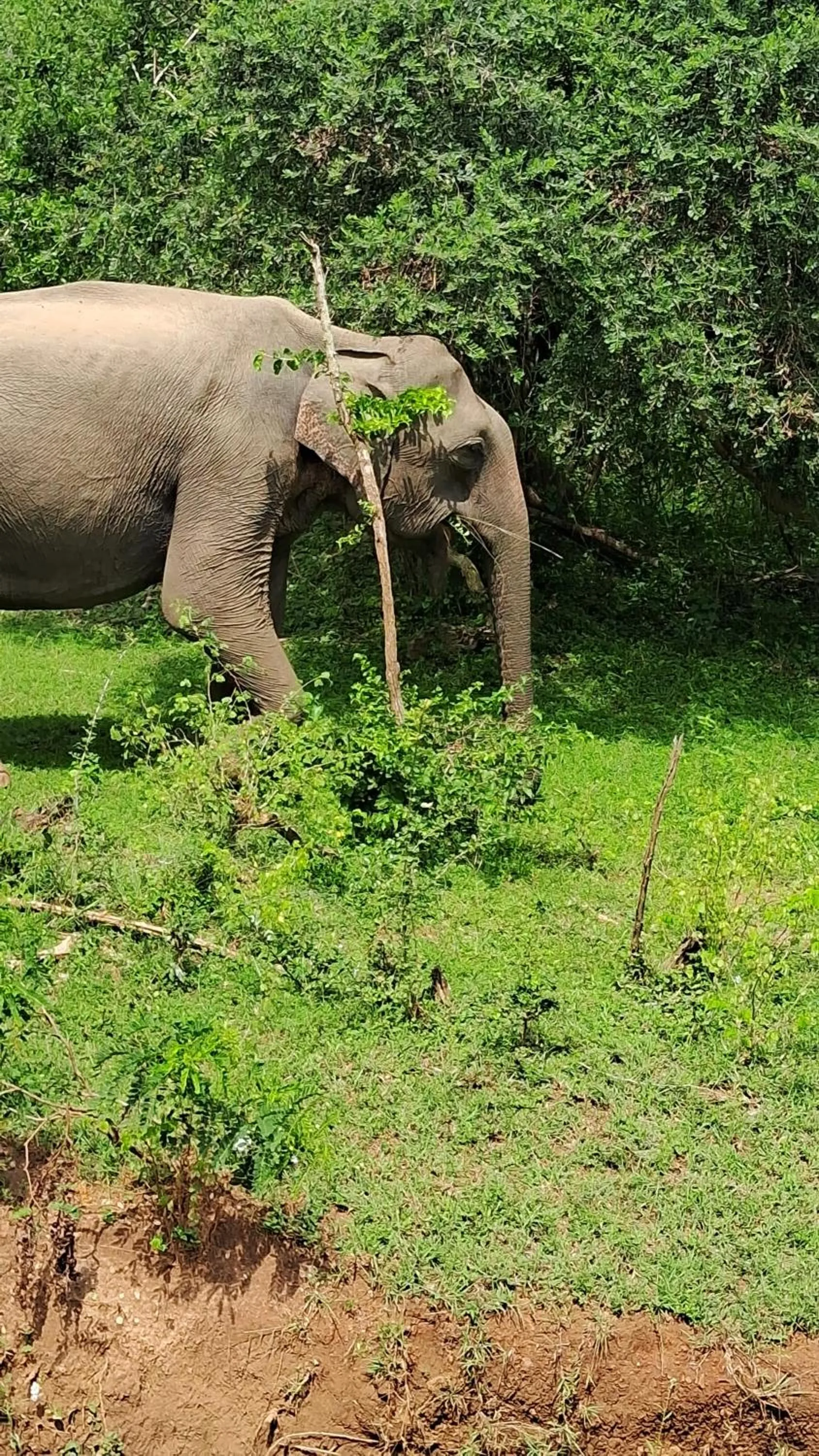 RKO Villa27 - Unawatuna