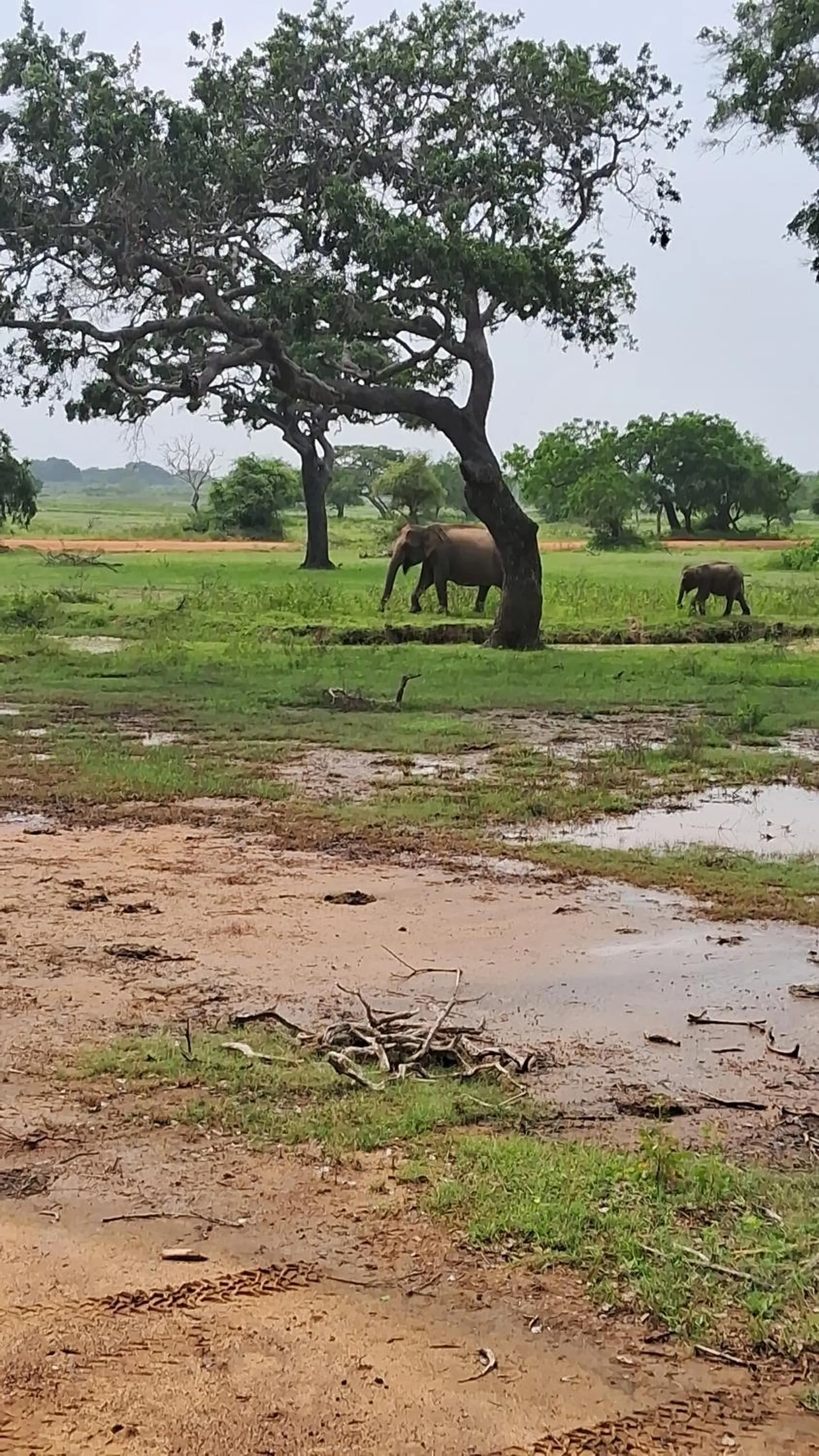 RKO Villa27 - Unawatuna