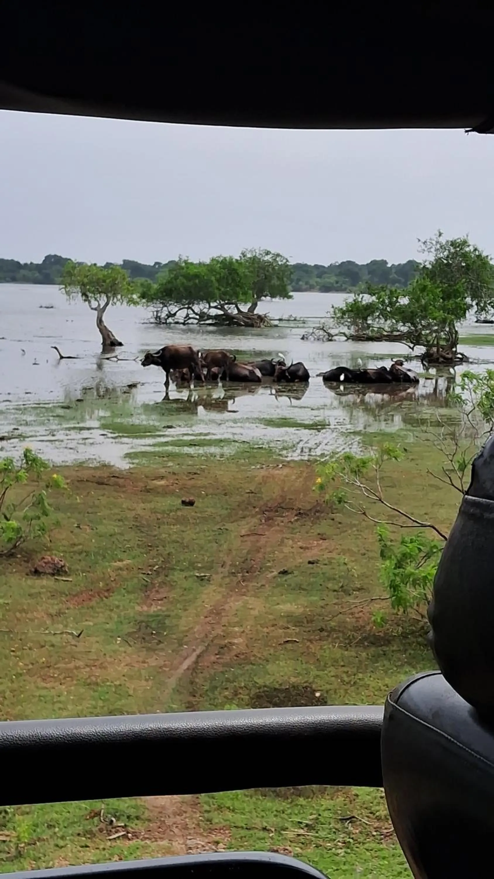 RKO Villa27 - Unawatuna