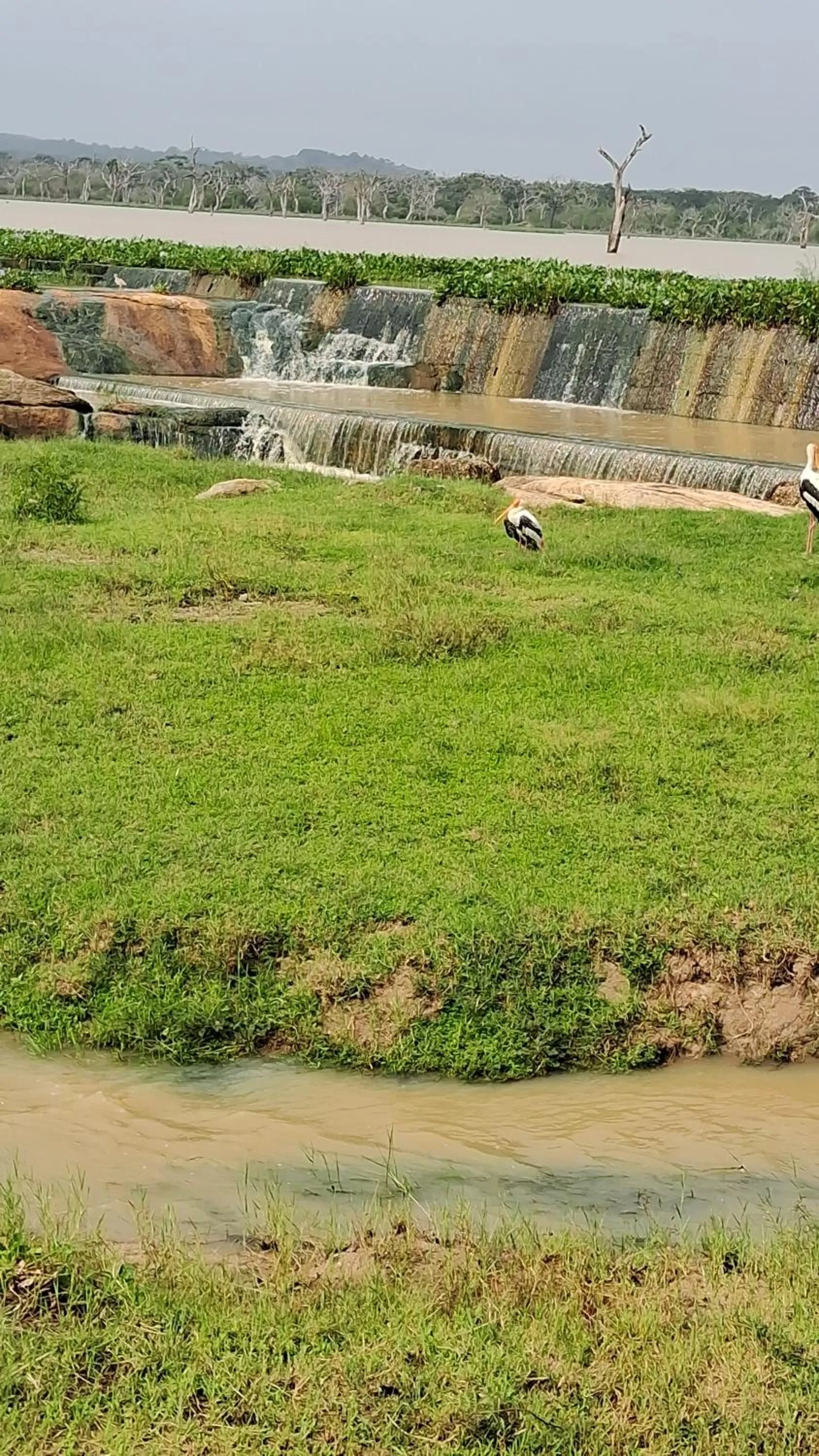 RKO Villa27 - Unawatuna