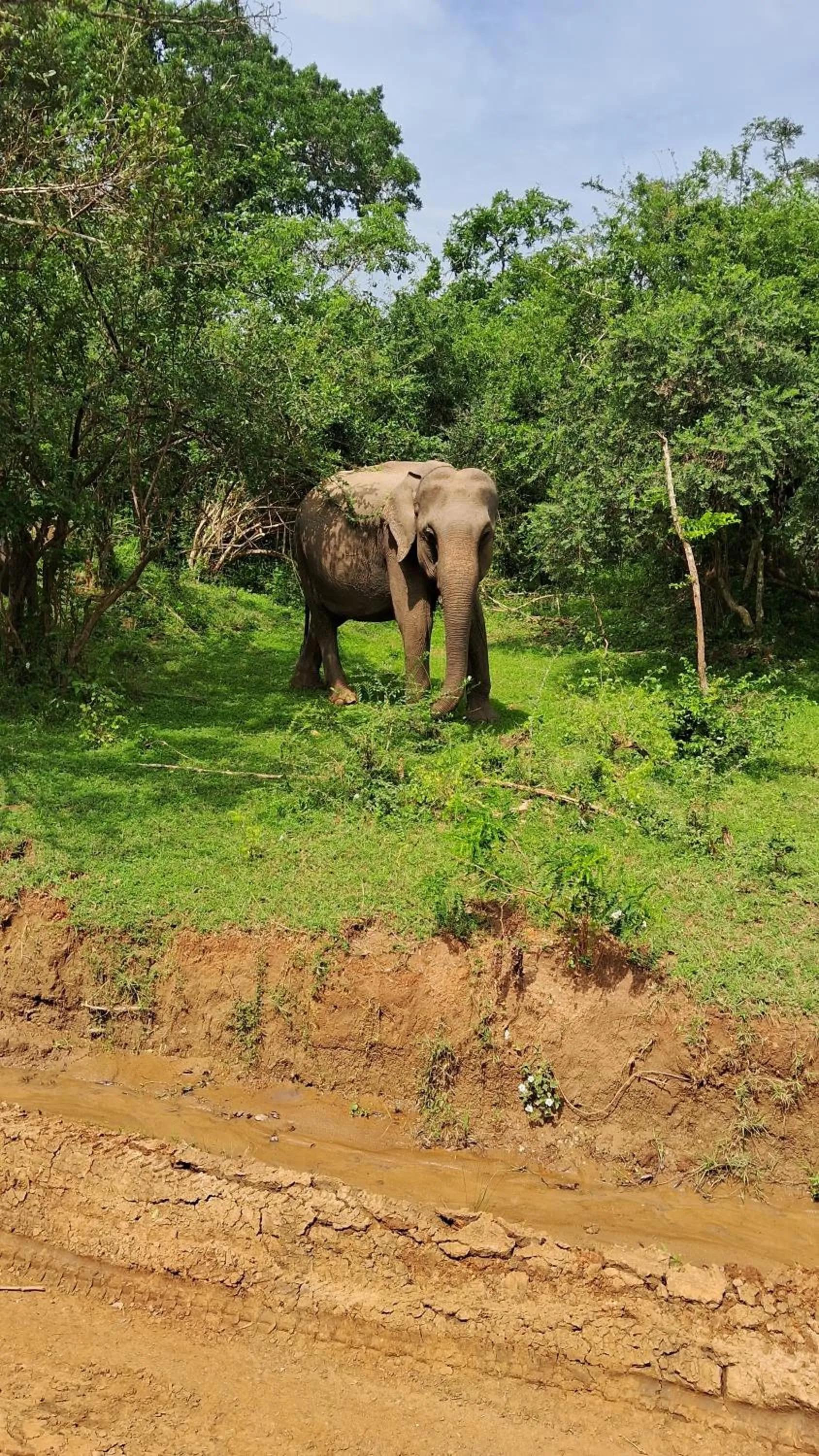 RKO Villa27 - Unawatuna