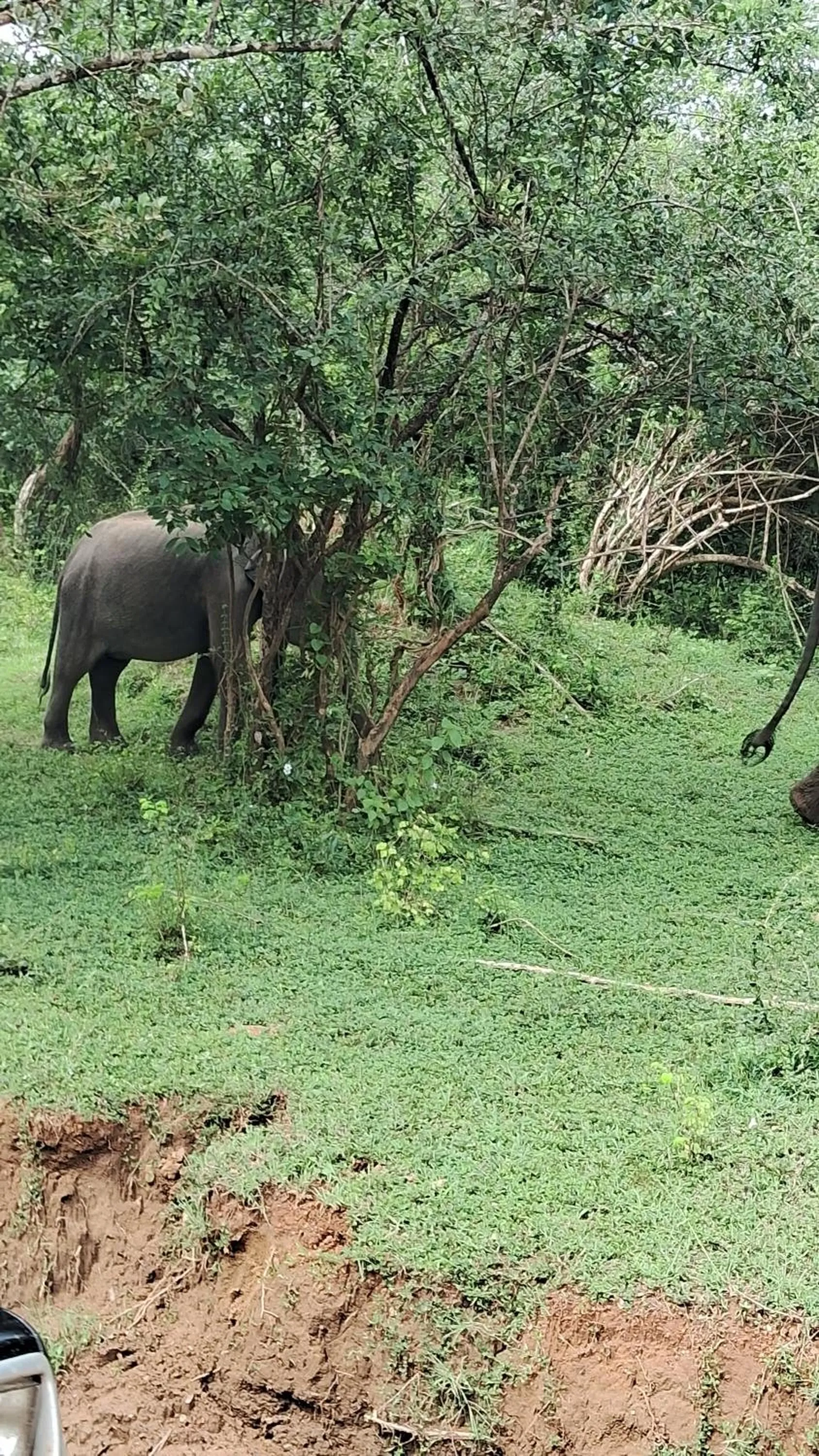 RKO Villa27 - Unawatuna