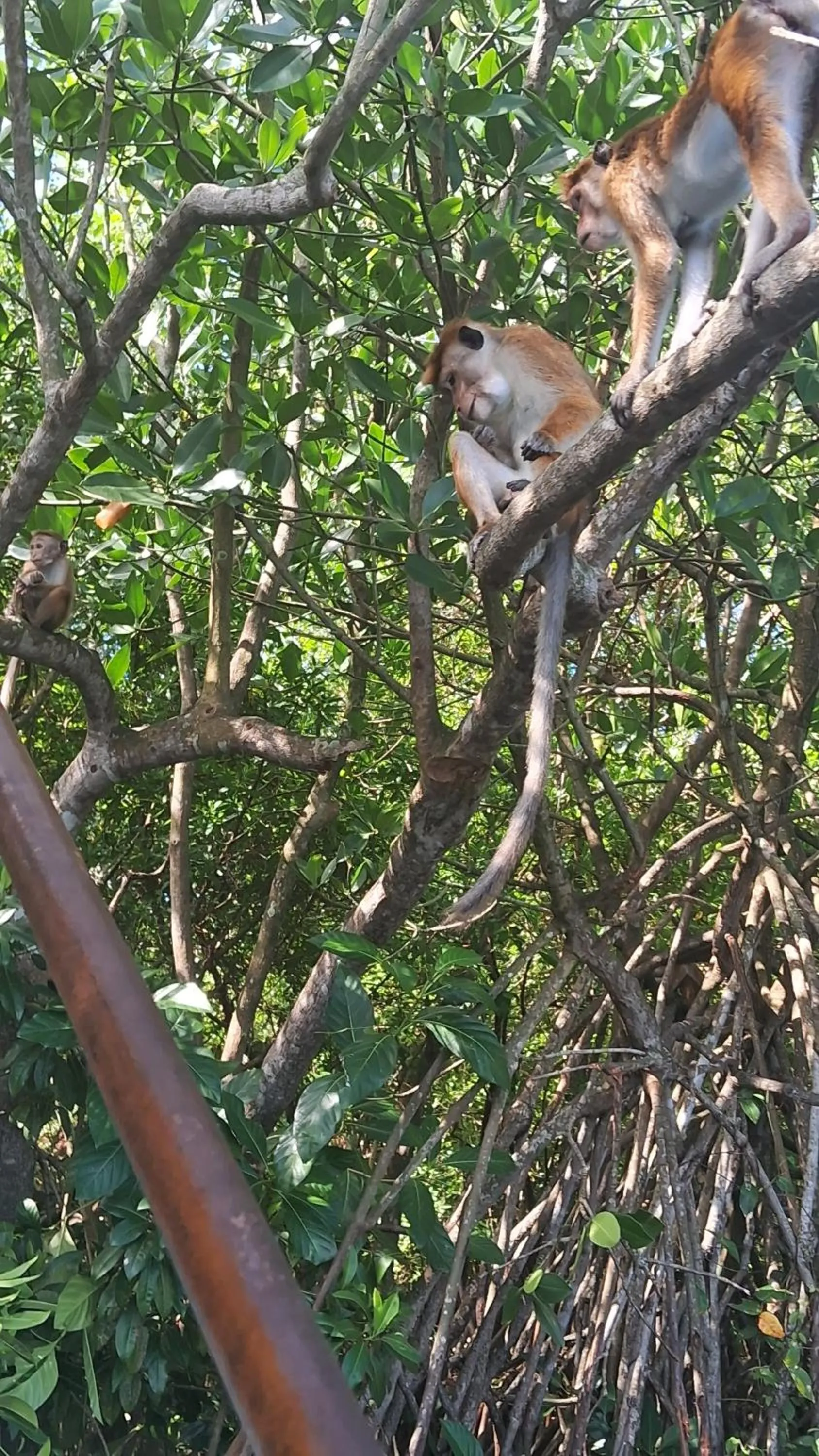 RKO Villa27 - Unawatuna