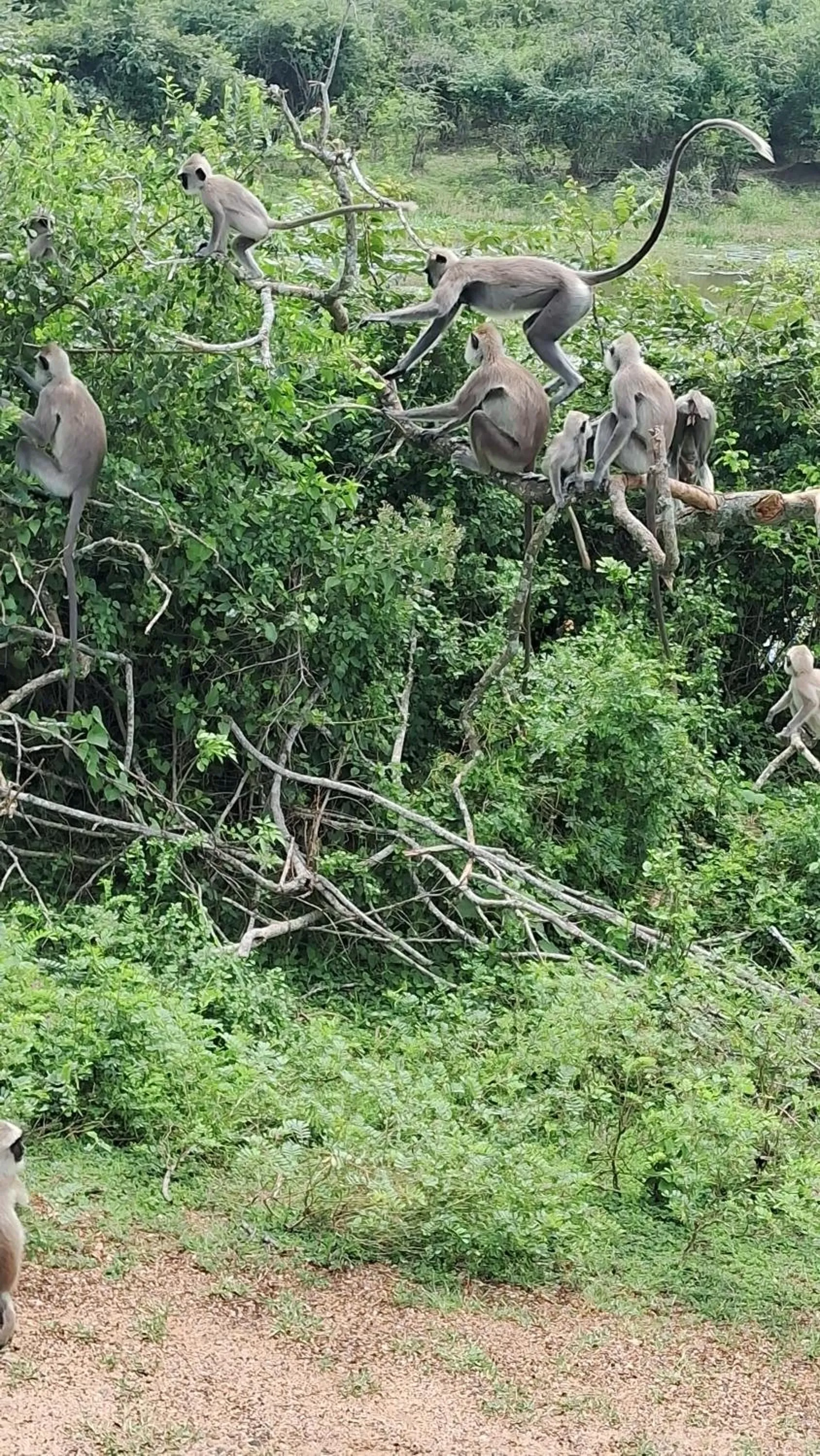 RKO Villa27 - Unawatuna