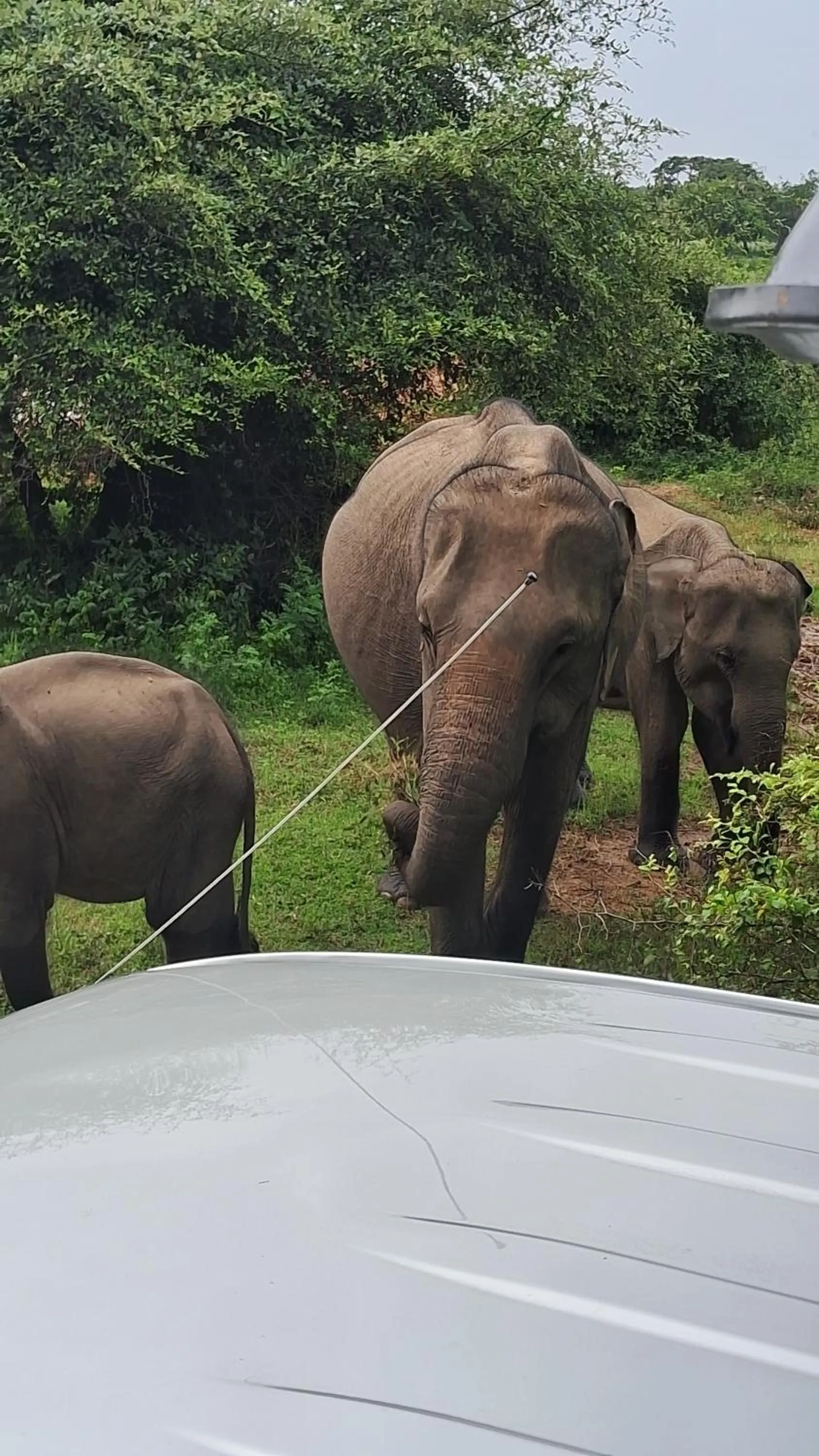 RKO Villa27 - Unawatuna