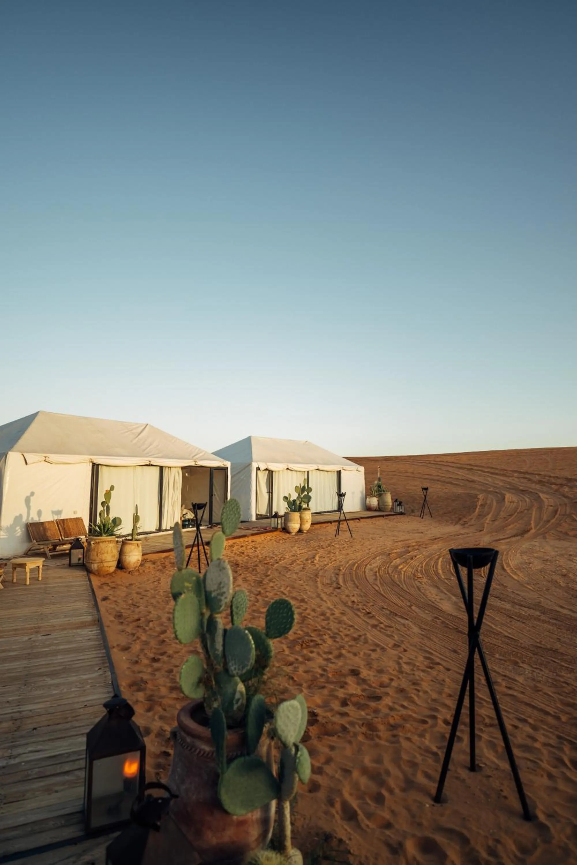 Natural landscape in Sahara pearl Hotel