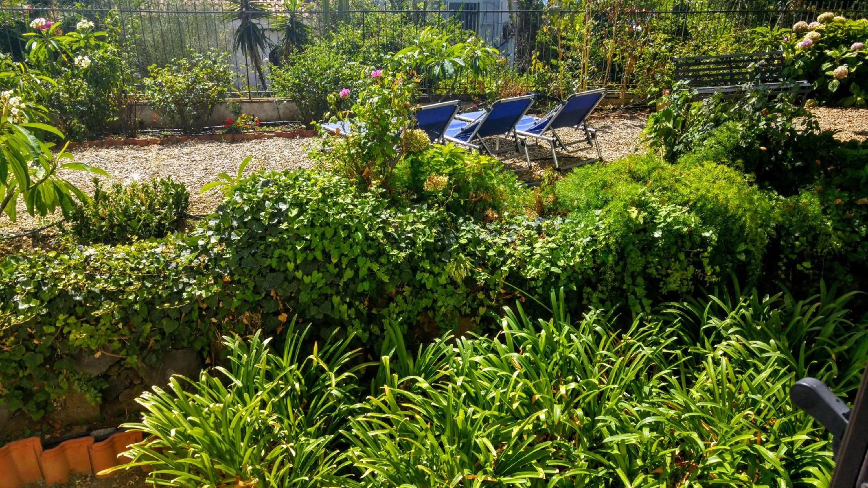 Day in Villa Ortensia