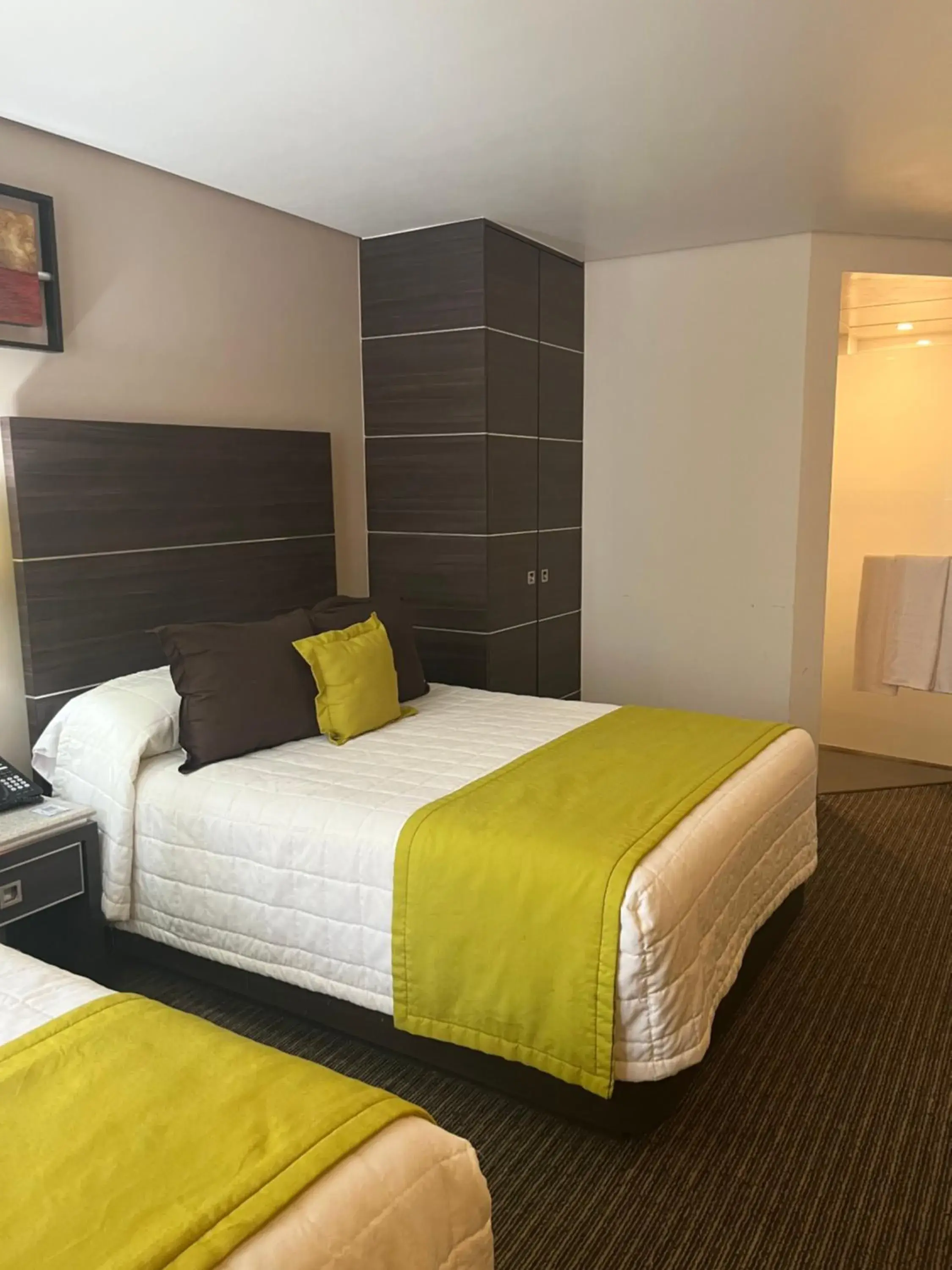 Twin Room - Disability Access in Hotel Real Alameda de Queretaro Twin Room - Disability Access in Hotel Real Alameda de Queretaro