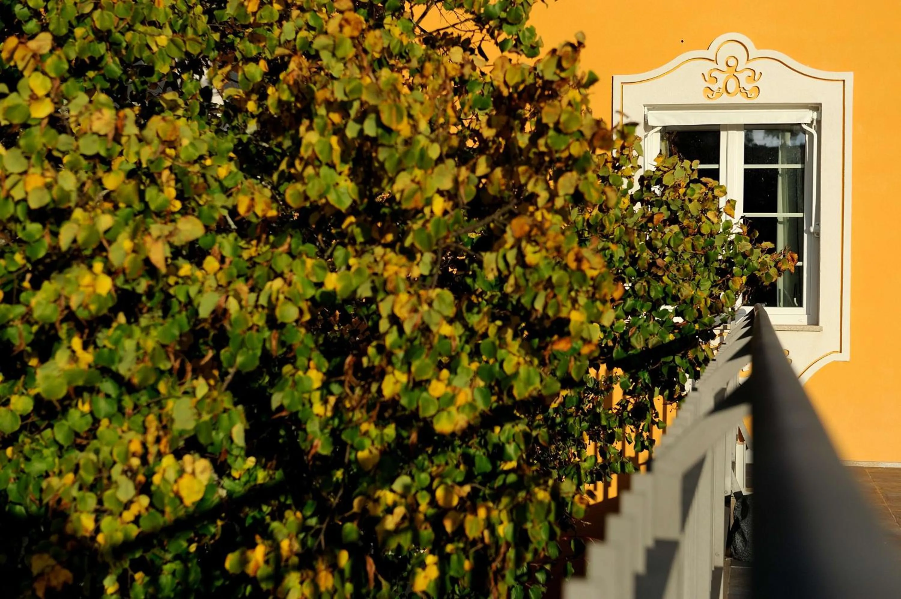 Balcony/Terrace in Cabecas do Reguengo