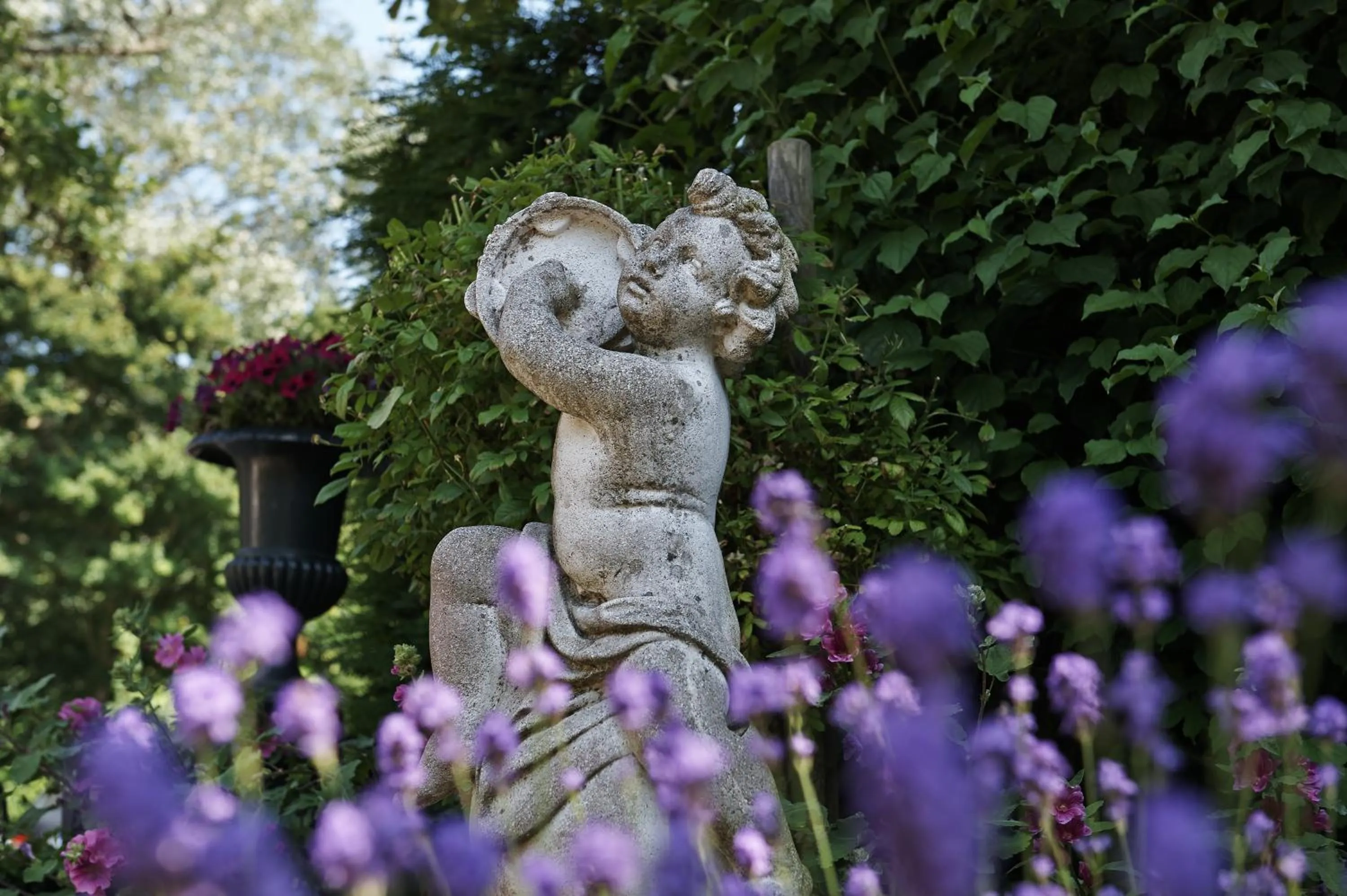 Garden in Villa Magnolia
