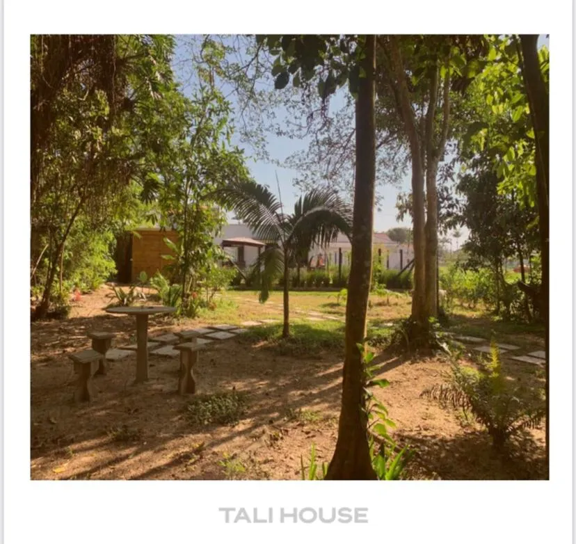 Garden view in TALI HOUSE - Casa Hotel