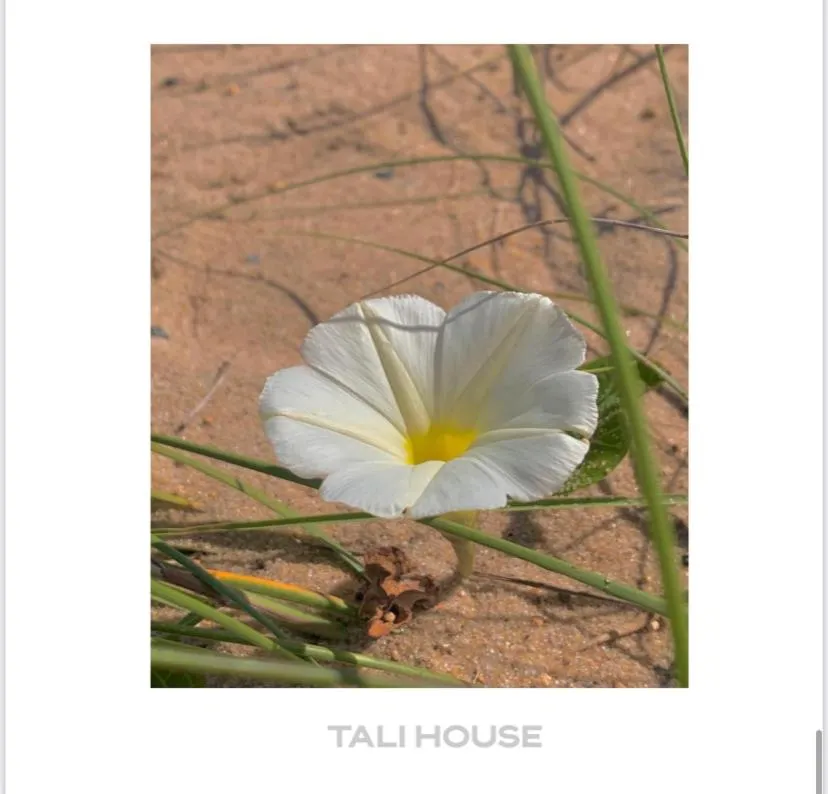 Day in TALI HOUSE - Casa Hotel