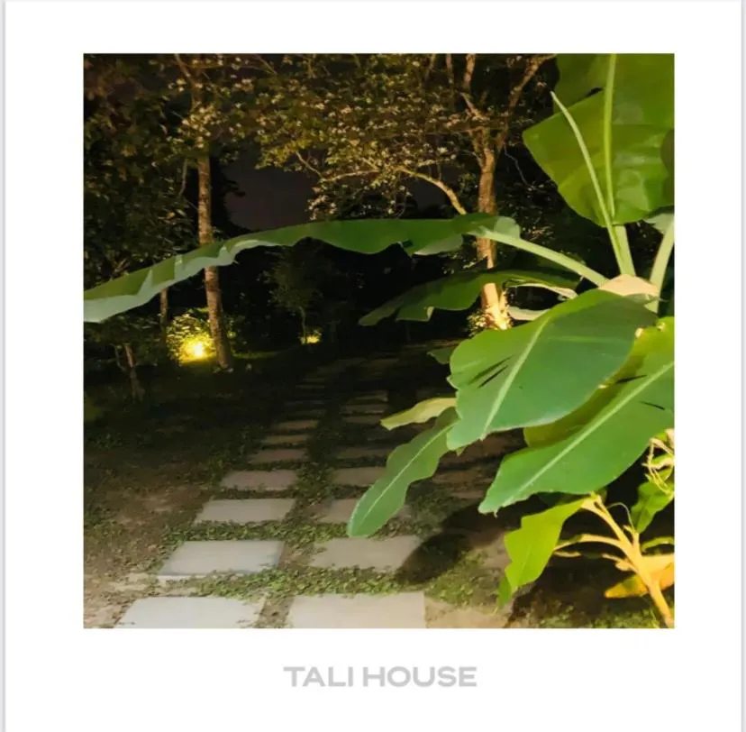 Garden view in TALI HOUSE - Casa Hotel