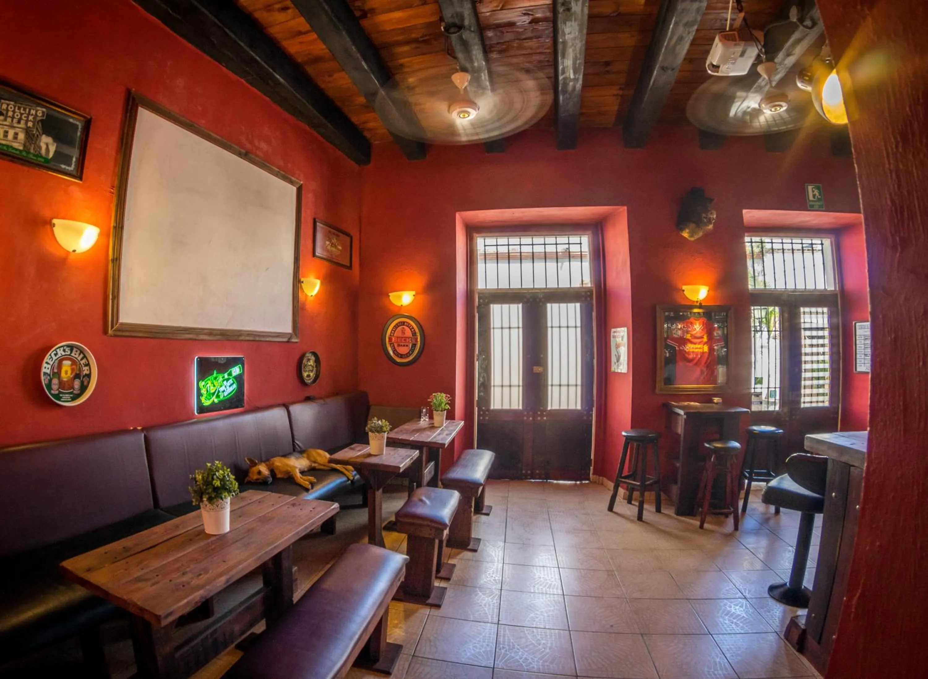 Lounge or bar in Island Life Hostel