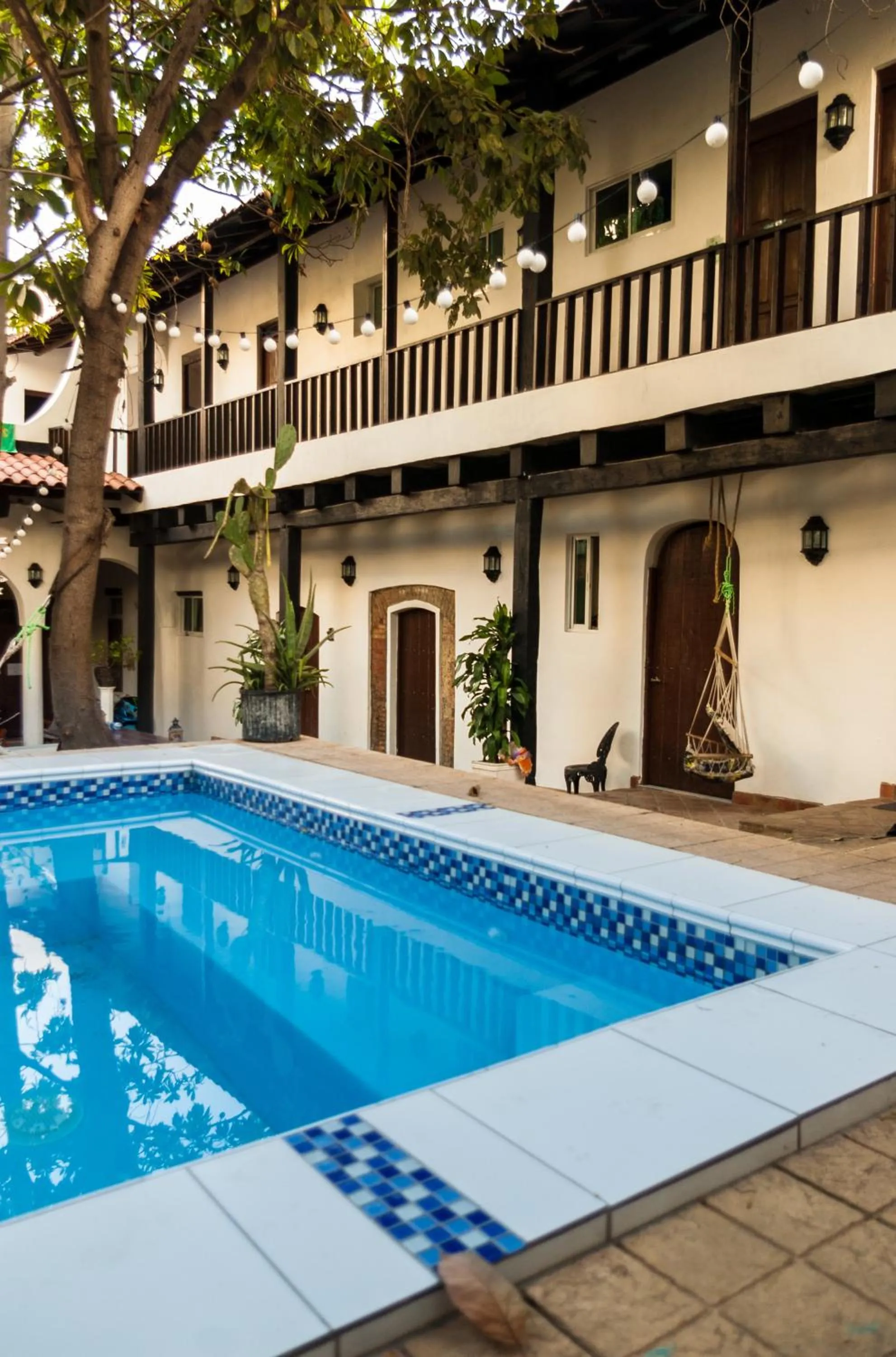 Garden in Island Life Hostel