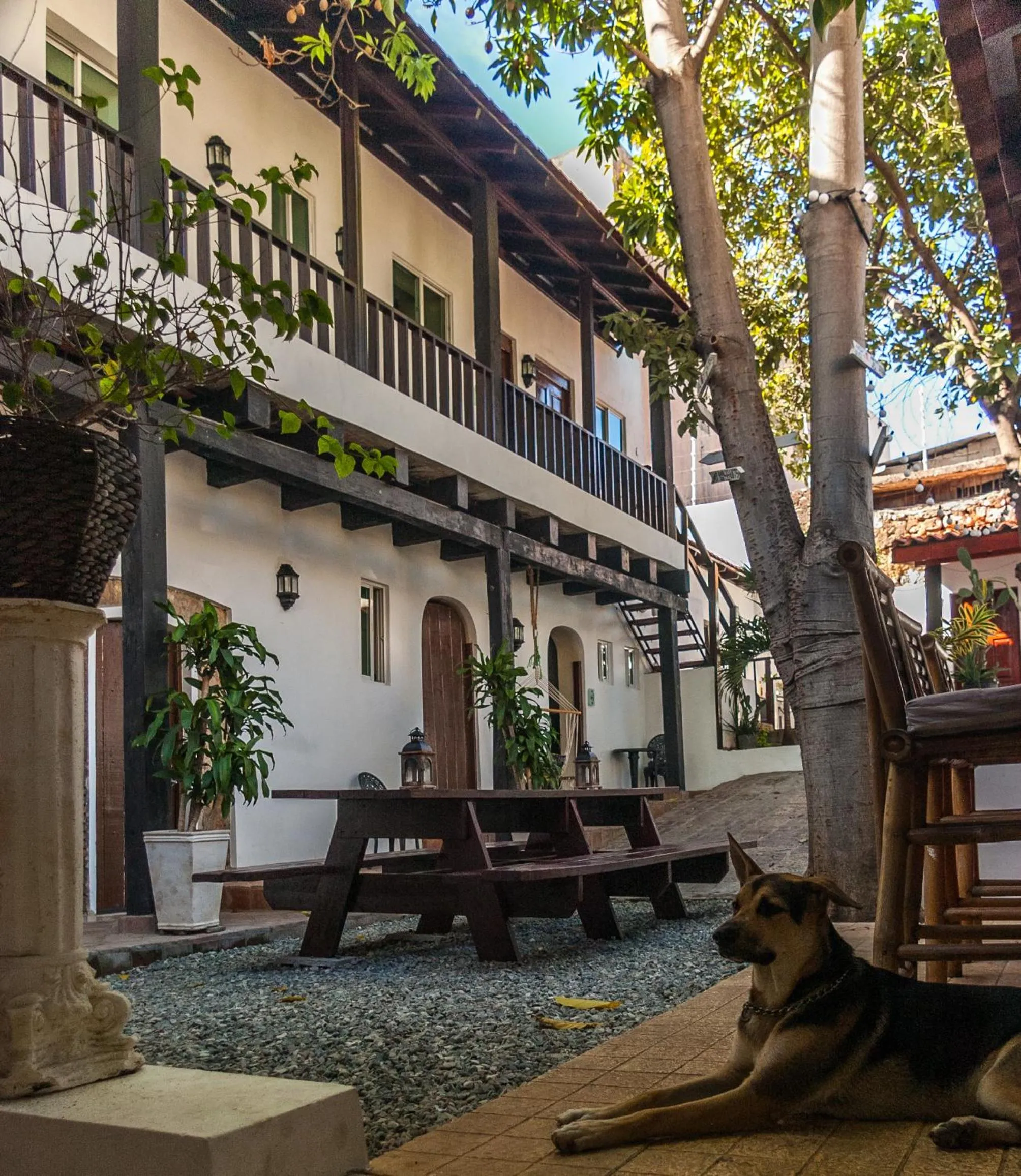 Facade/entrance in Island Life Hostel