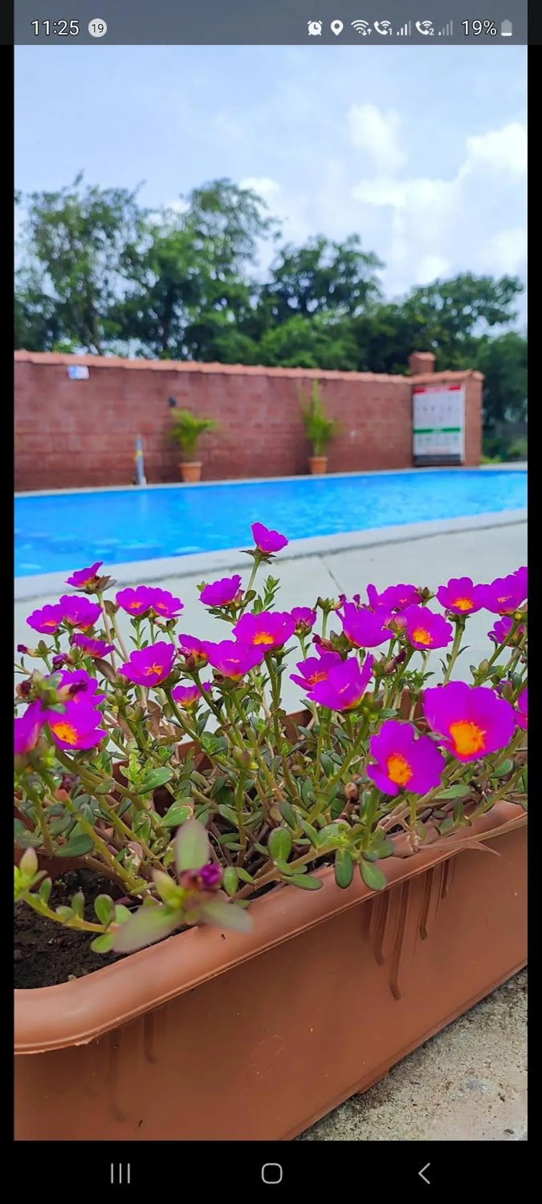 Garden in Tarangan Resort