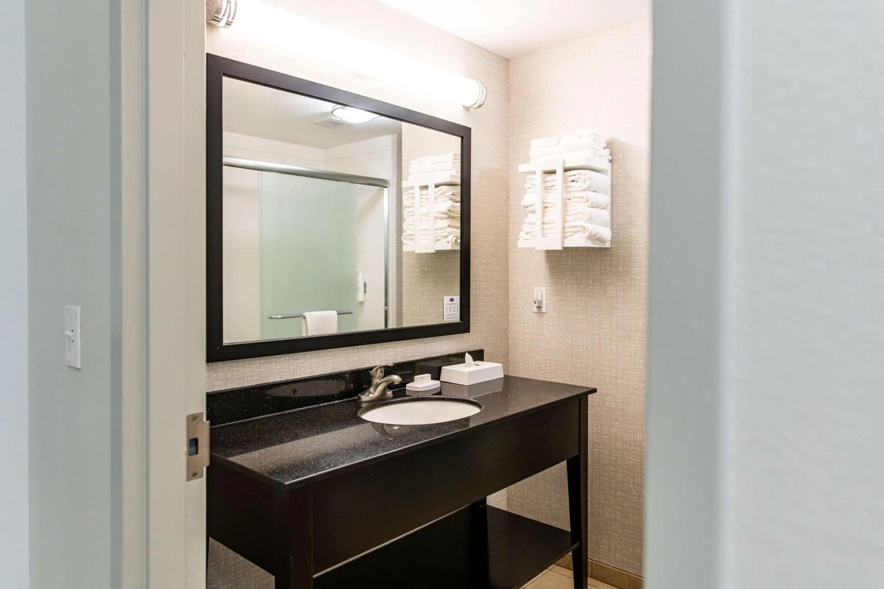 Bathroom in Hampton Inn & Suites Effingham