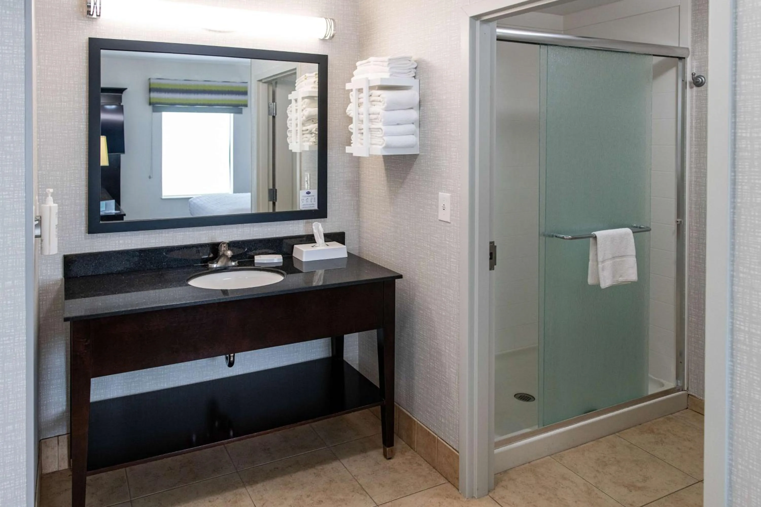 Bathroom in Hampton Inn & Suites Effingham