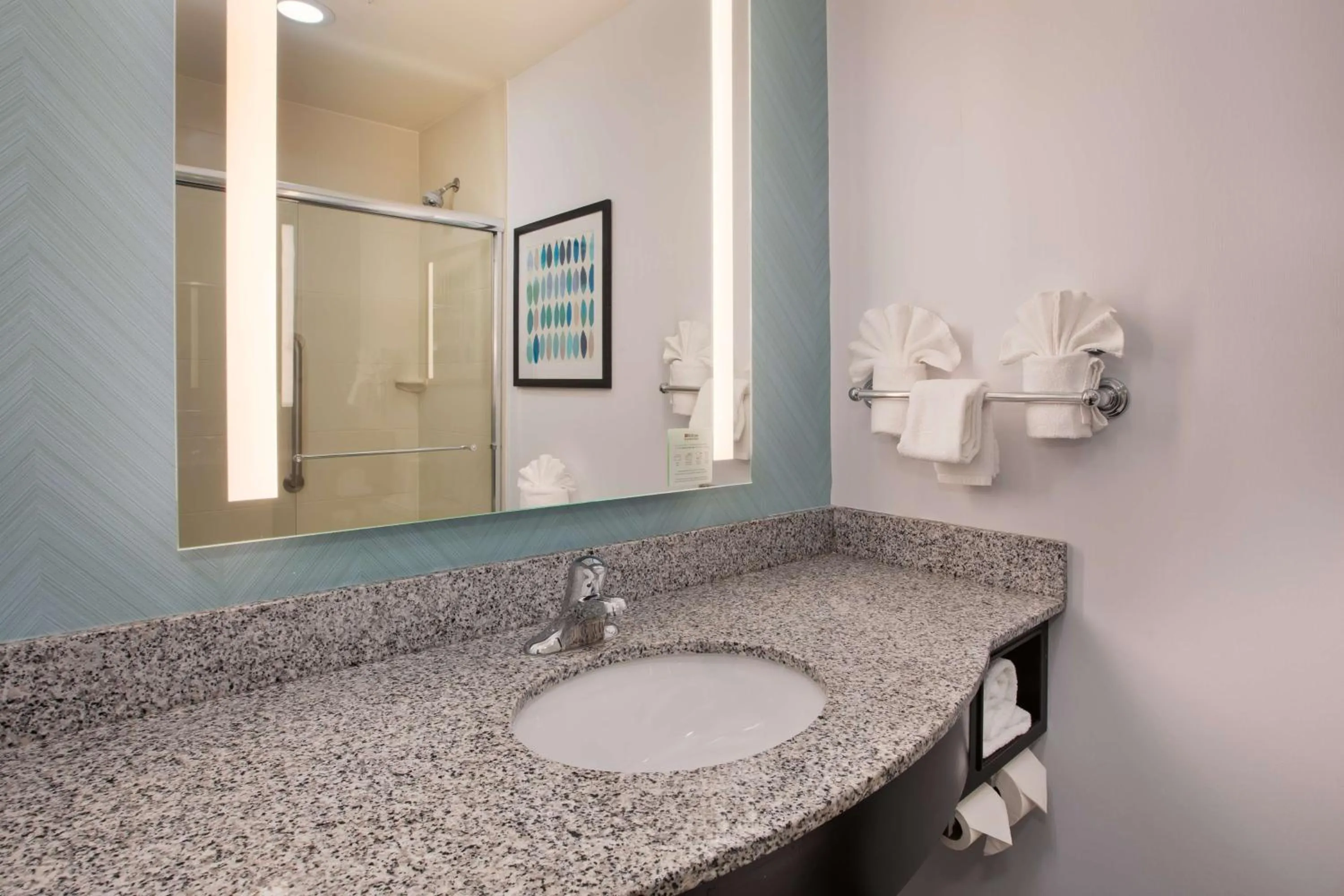 Bathroom in Hilton Garden Inn Benton Harbor