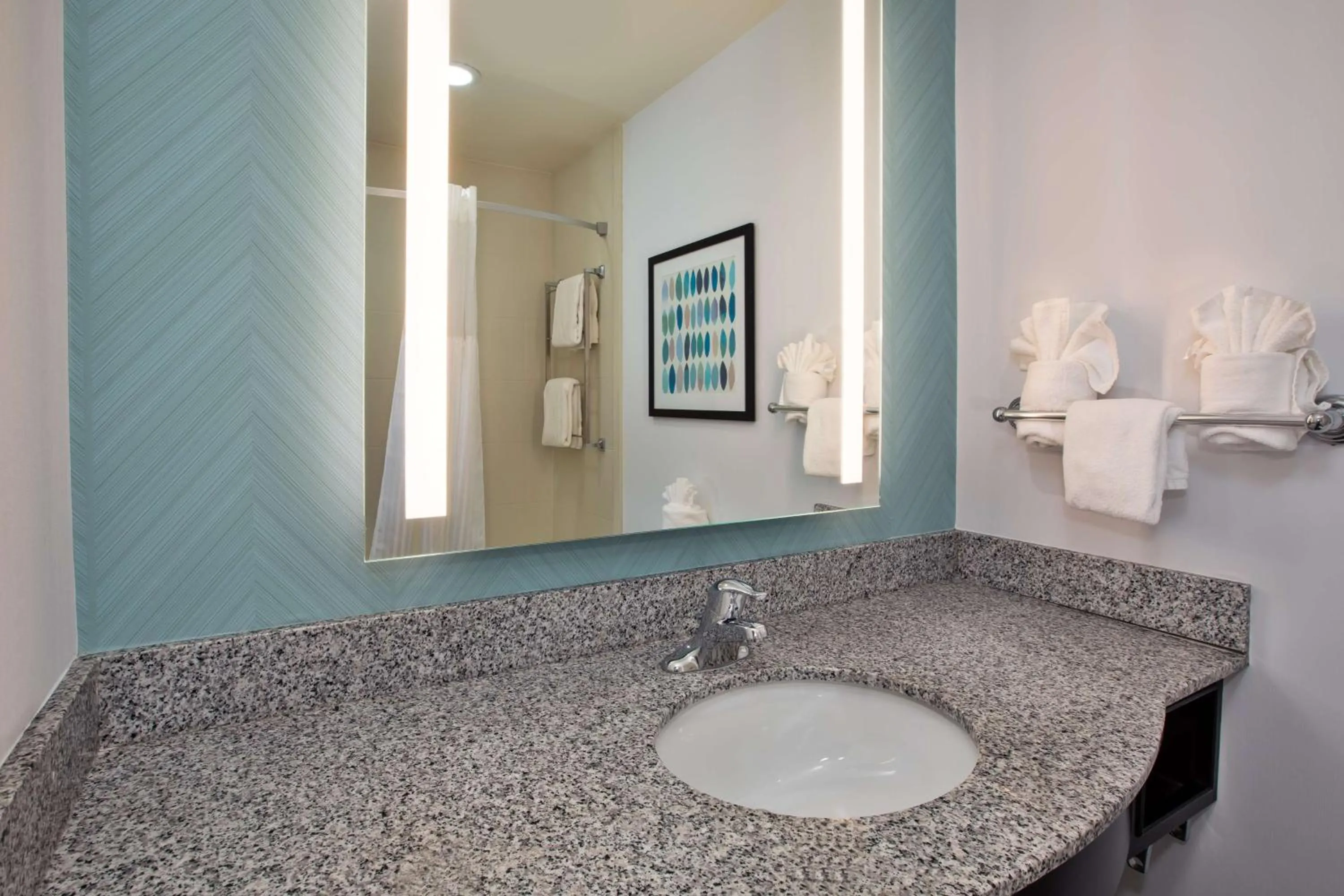 Bathroom in Hilton Garden Inn Benton Harbor