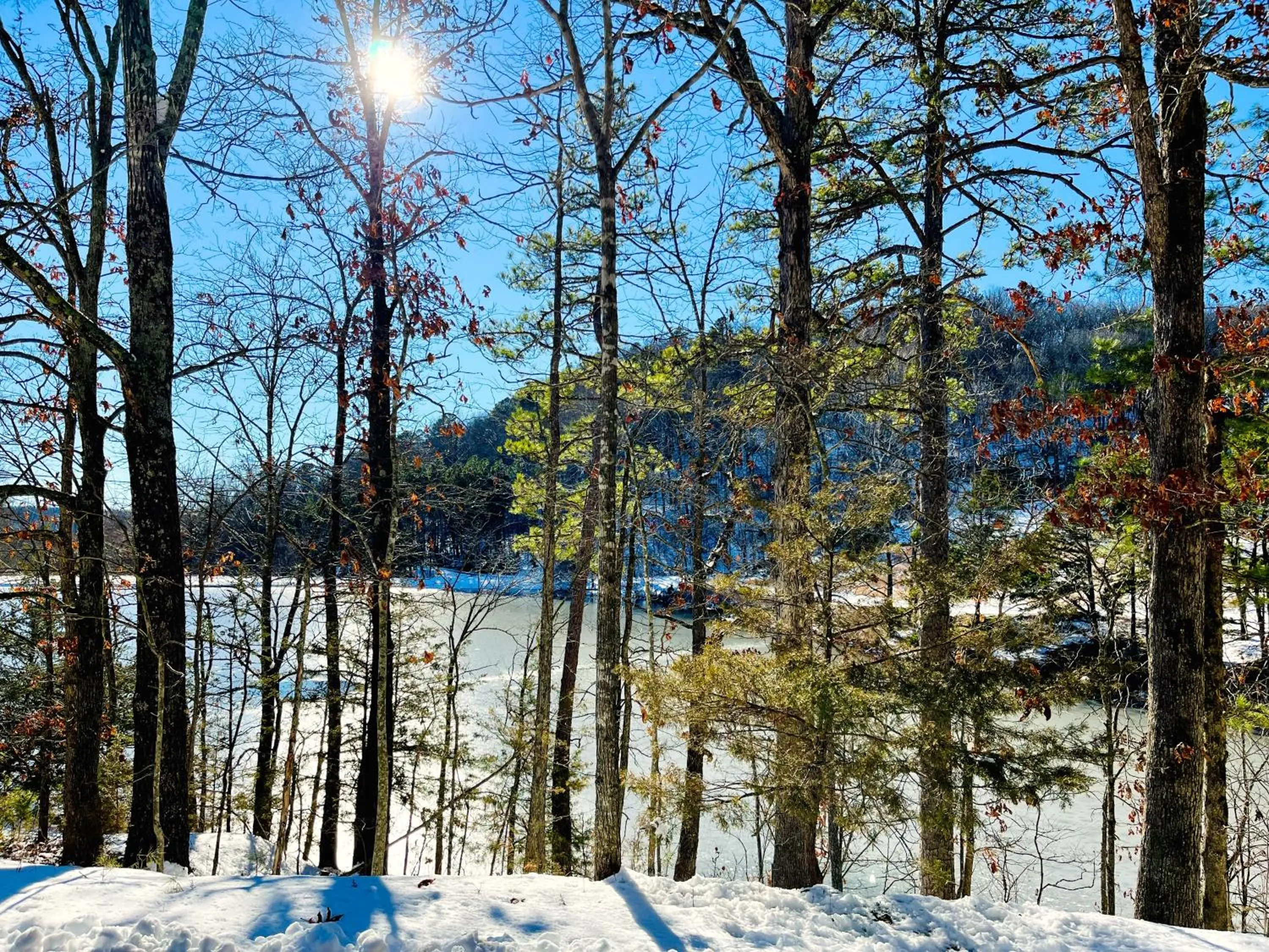 View (from property/room) in Cinnamon Valley