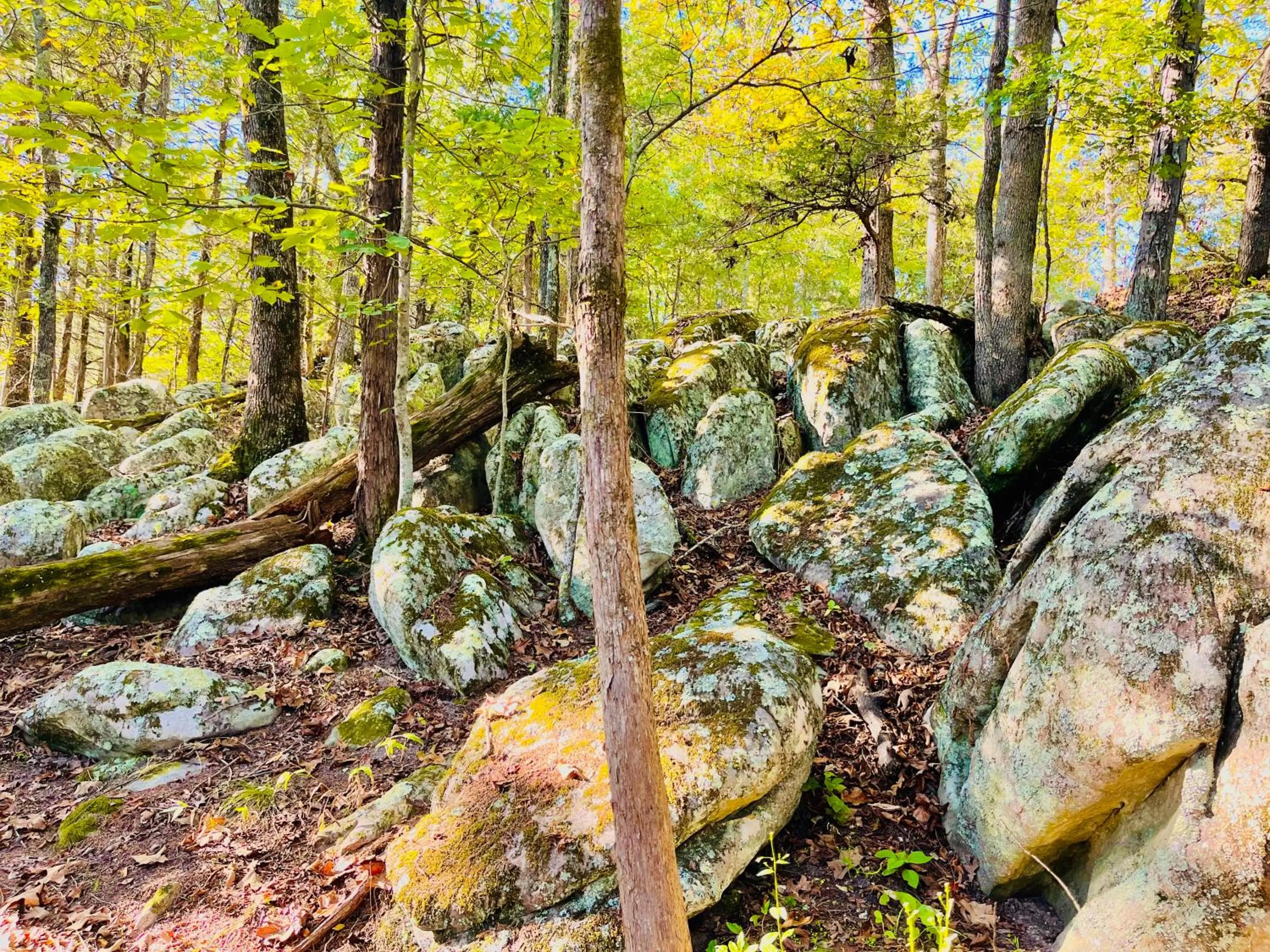View (from property/room) in Cinnamon Valley