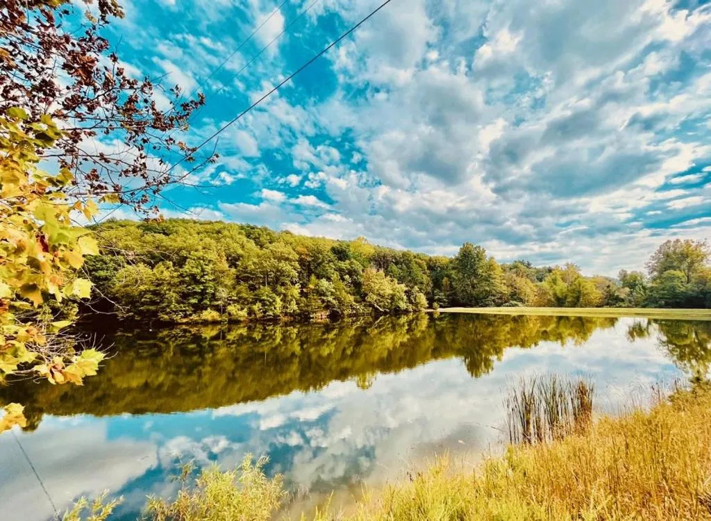 Natural landscape in Cinnamon Valley