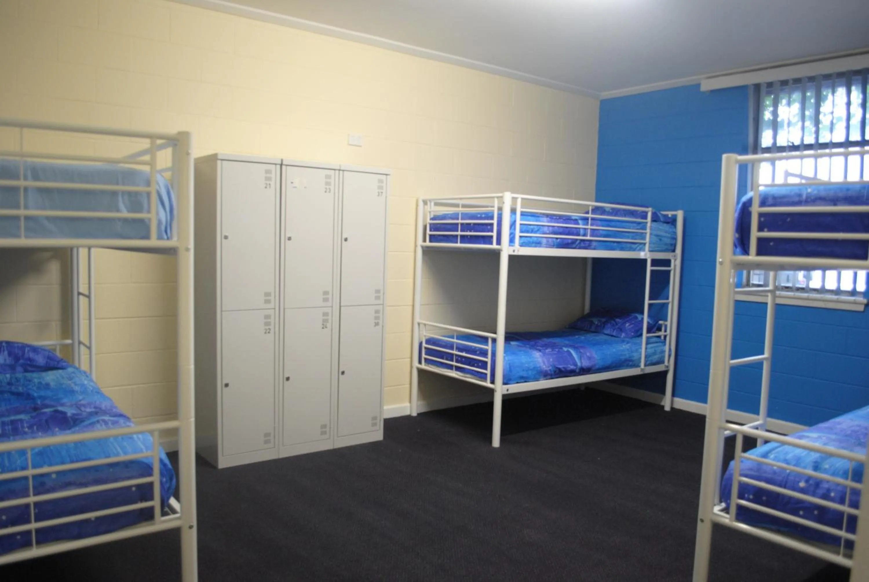bunk bed, Bed in Port Adelaide Backpackers