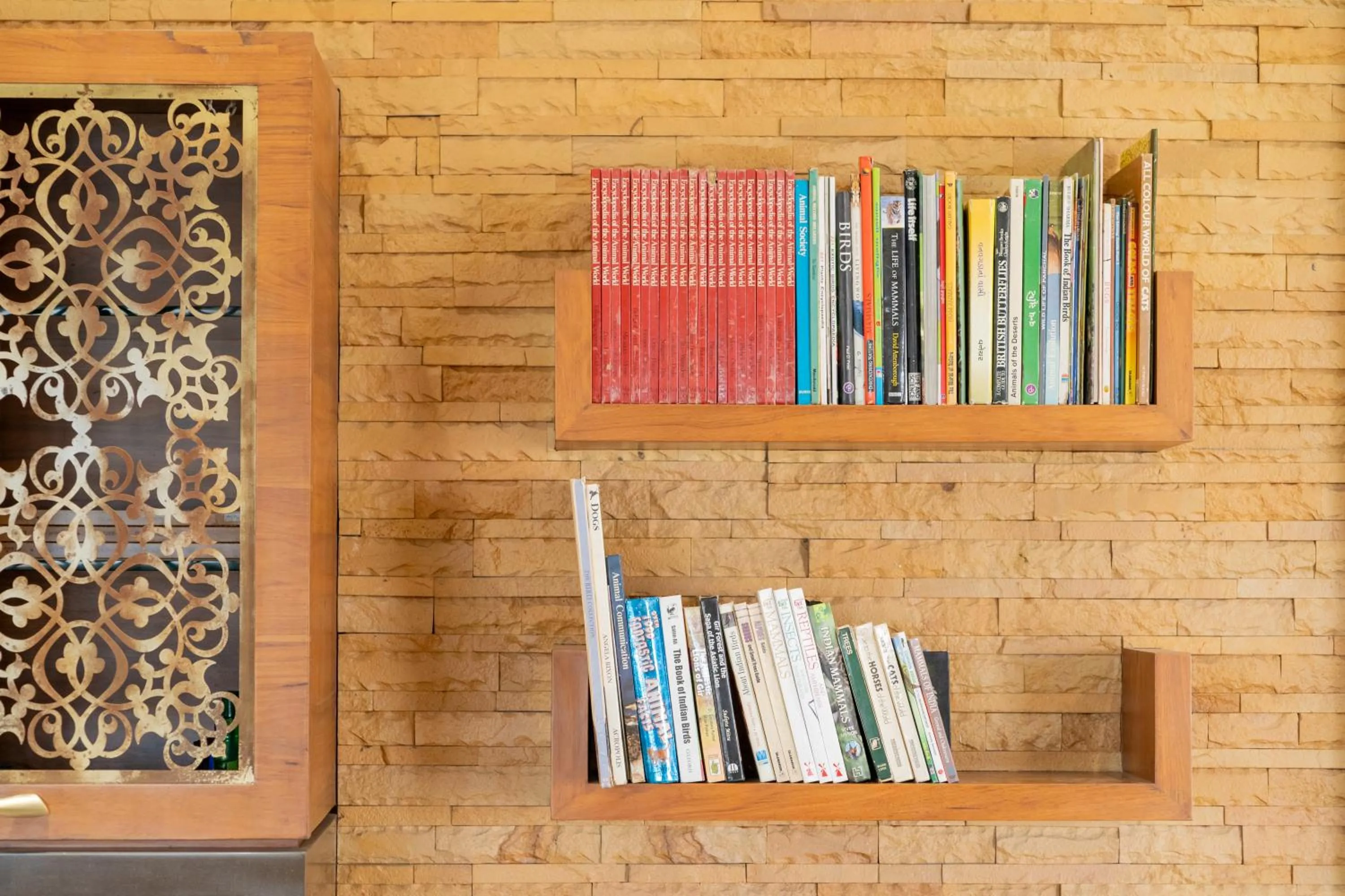 Library in The Gaj Kesri Gir - Best Wildlife Resort in Gir