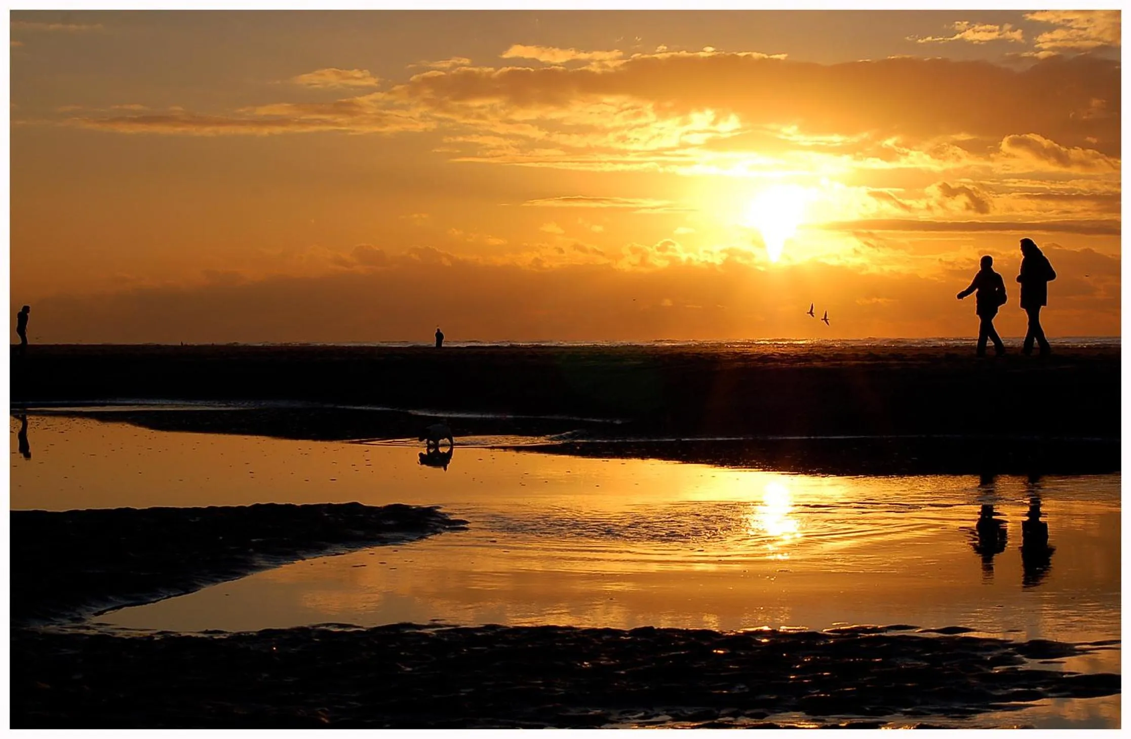 Natural landscape in Hotel De Koningshof