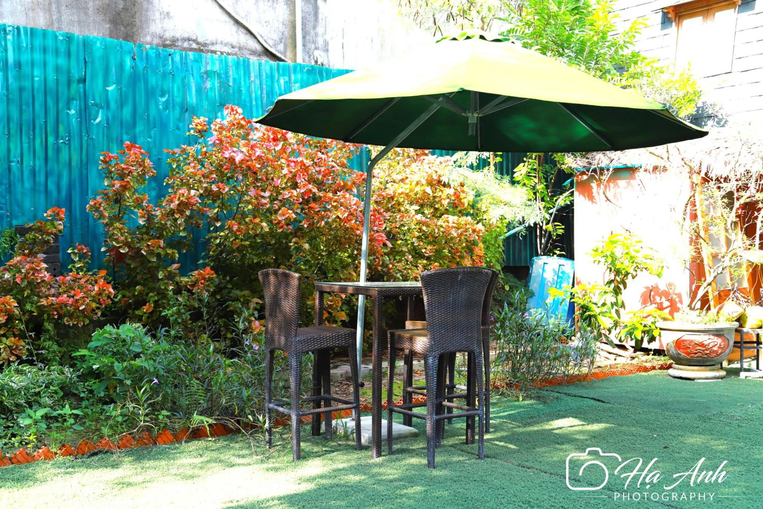 Garden view in Hoi An Coco Farm