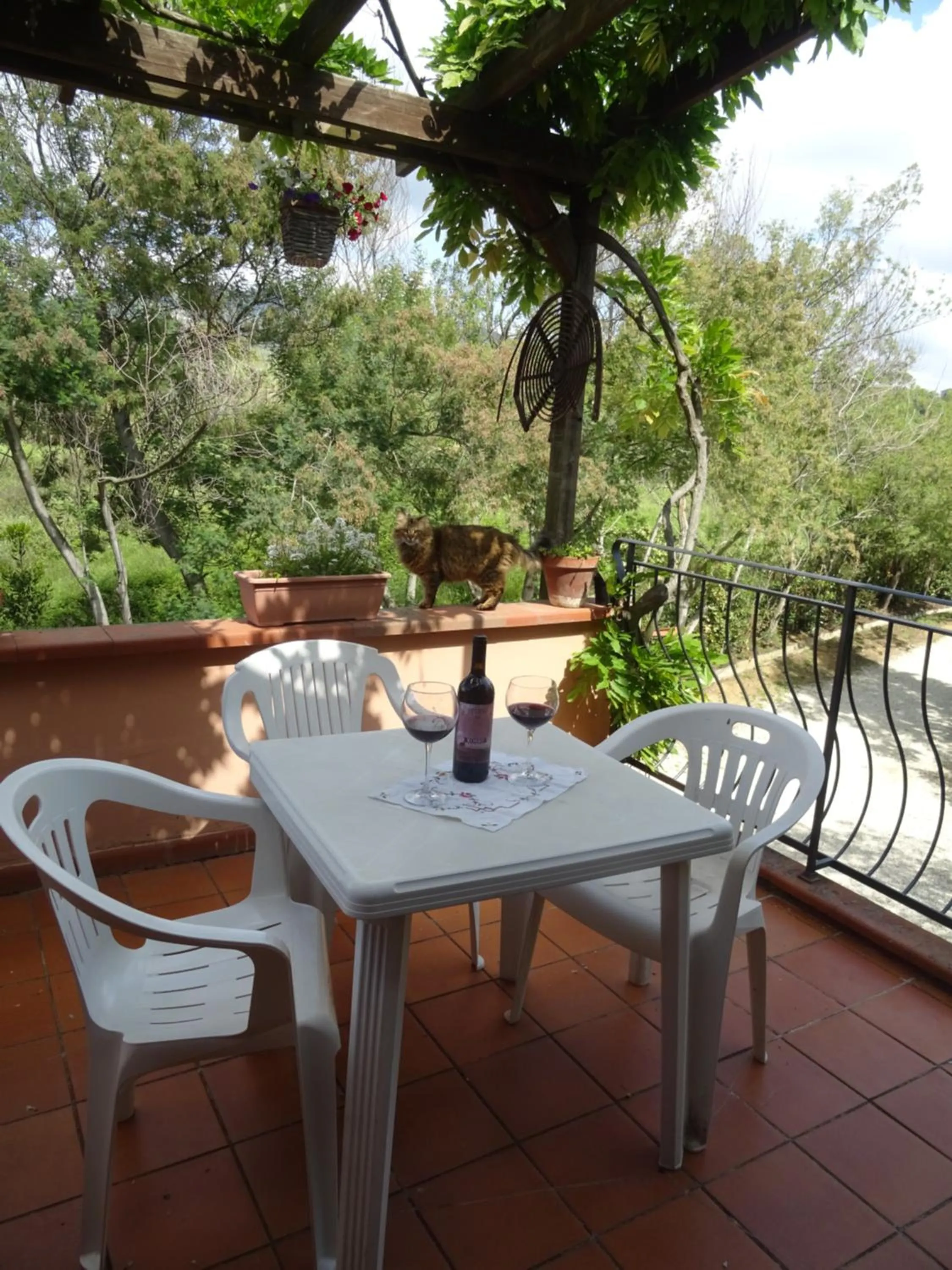 Balcony/Terrace in Le Mimose B&B