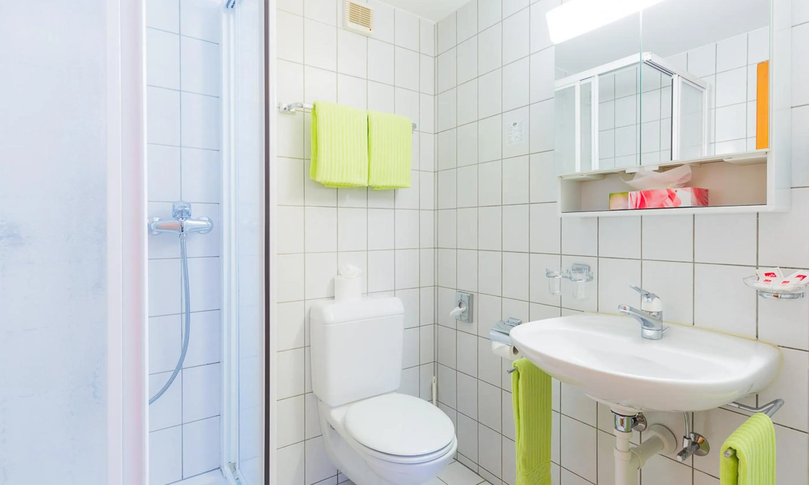 Bathroom in Swiss Lodge Joopi