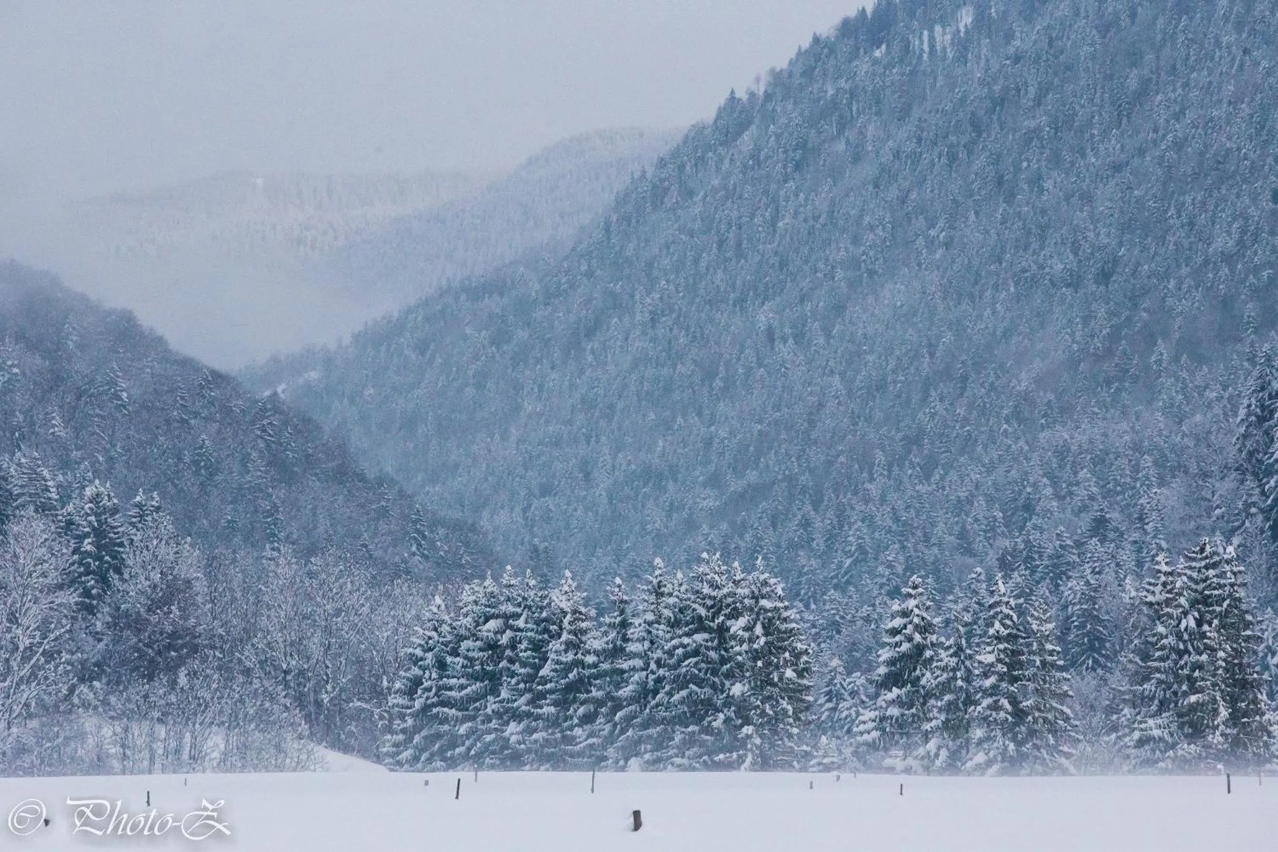 Natural landscape in DEVA Villa Mittermaier