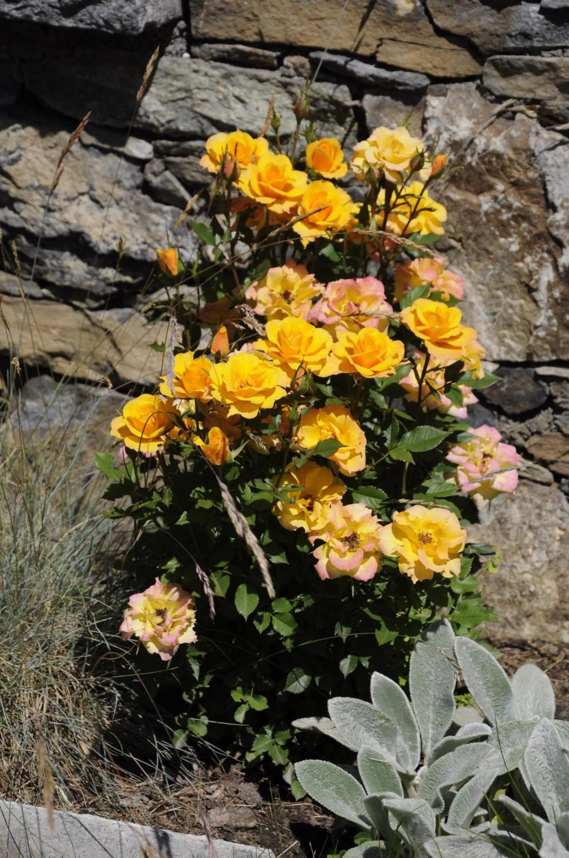 Decorative detail in Hotel Alpenblick