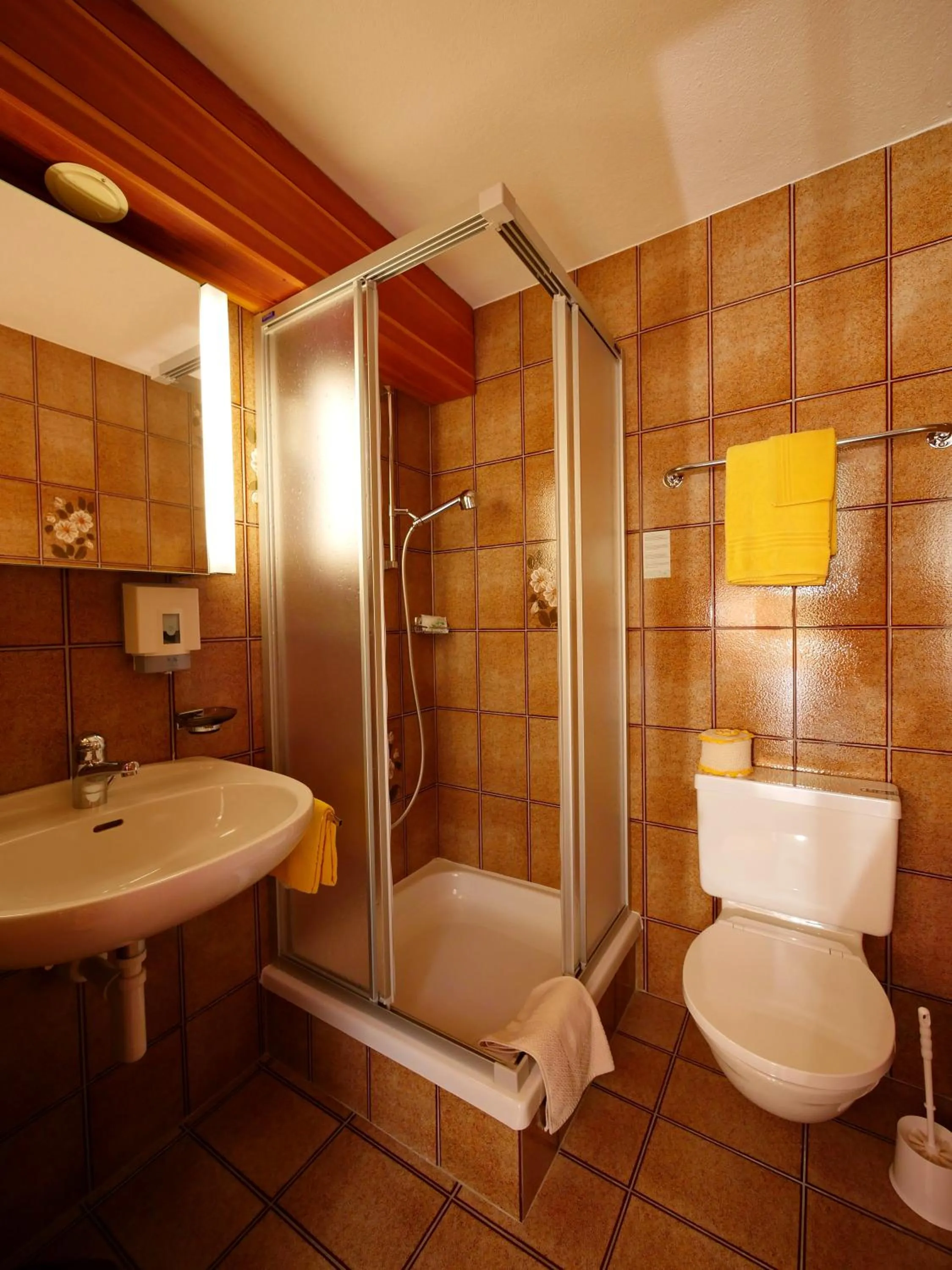 Toilet in Hotel Alpenblick