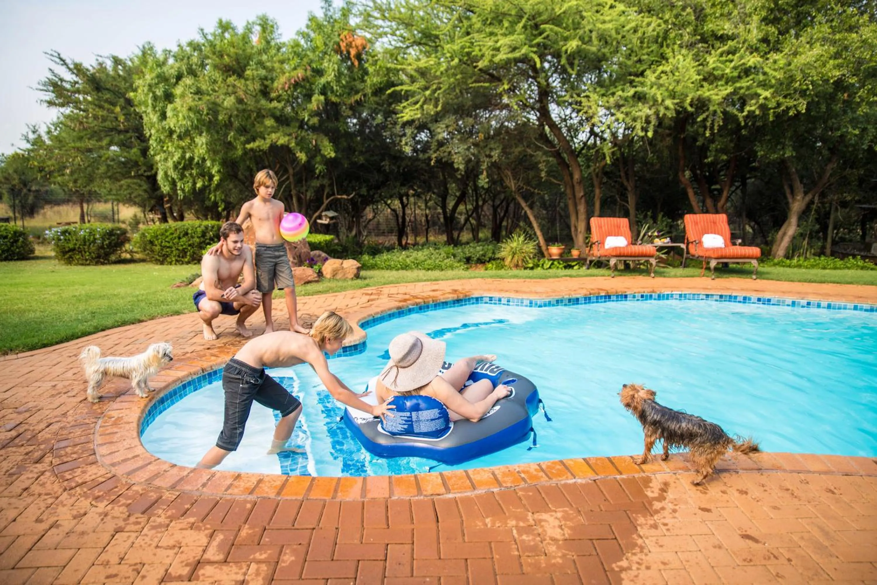 Swimming pool in Boubou Bed and Breakfast