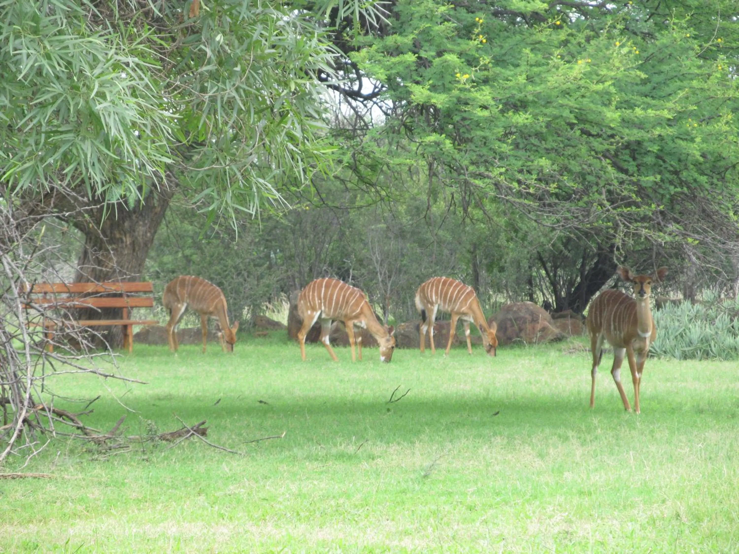Boubou Bed and Breakfast