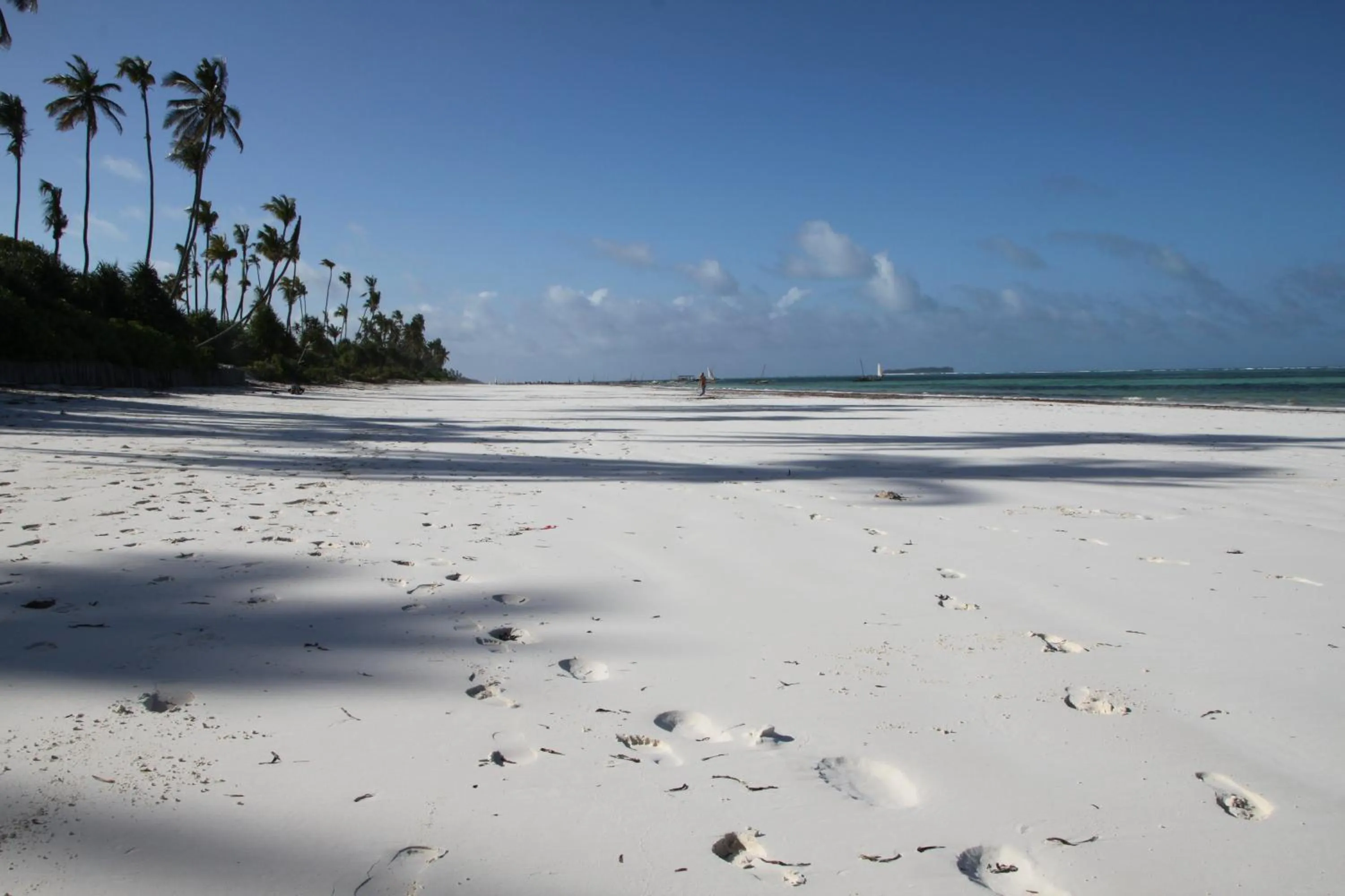 Natural landscape in Zoi Retreat Hotel Zanzibar