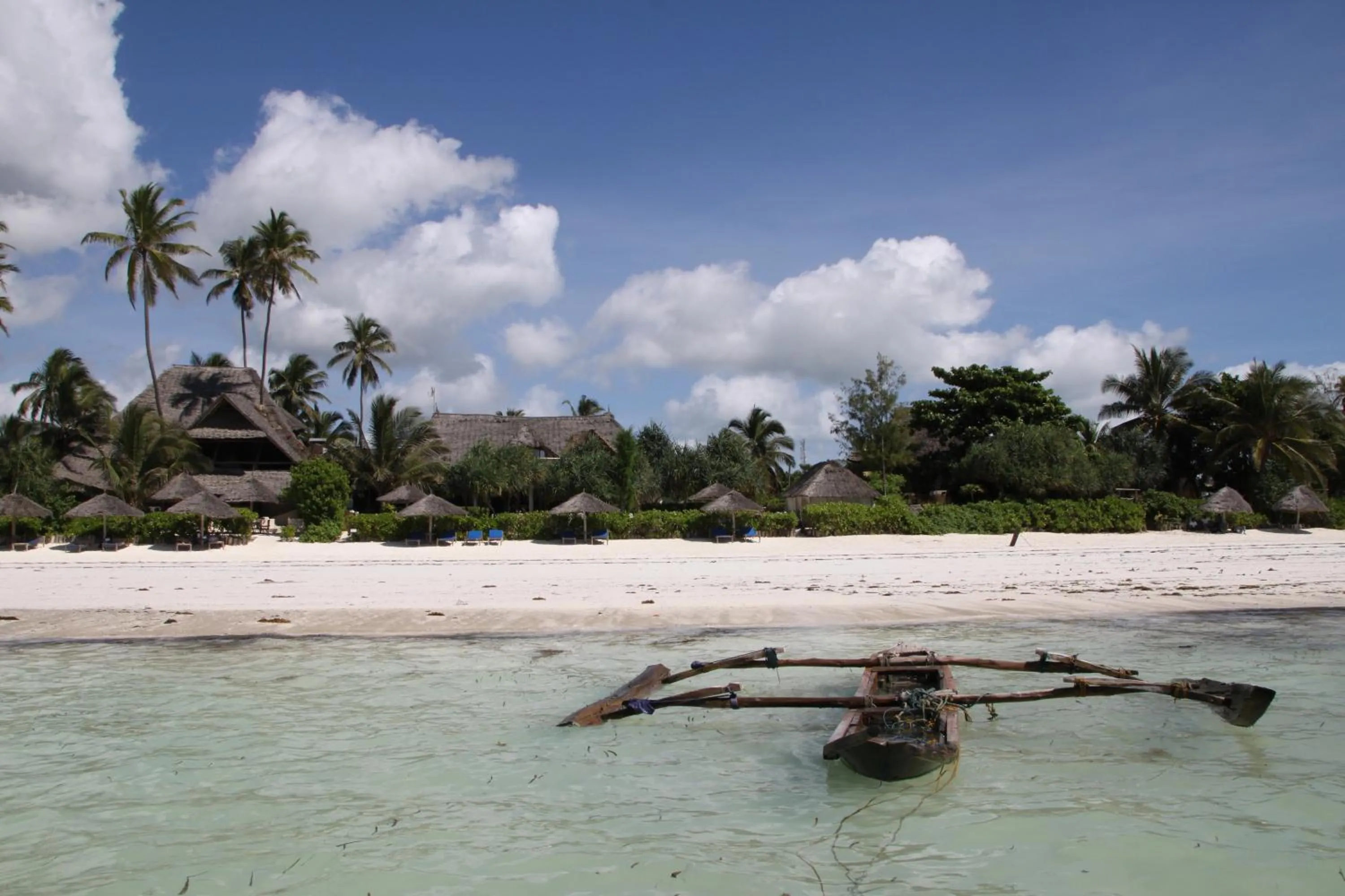 Natural landscape in Zoi Retreat Hotel Zanzibar
