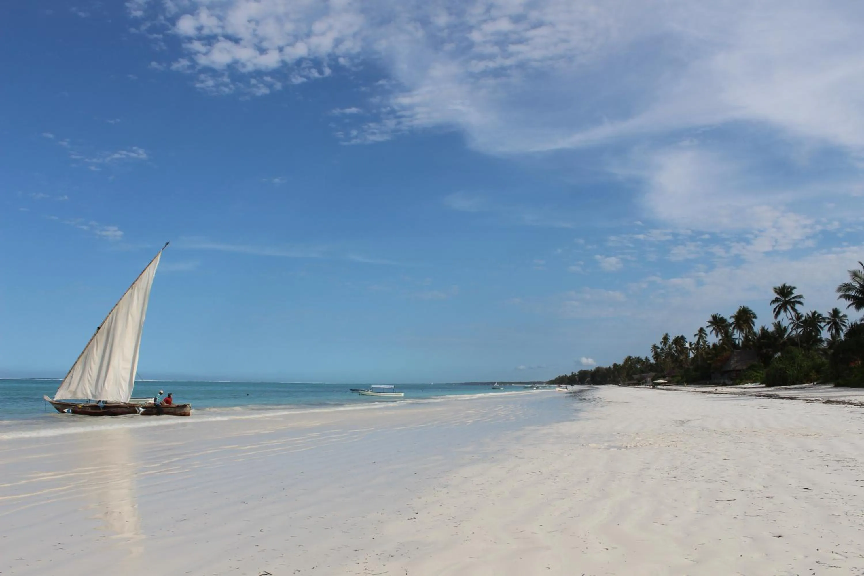 Natural landscape in Zoi Retreat Hotel Zanzibar