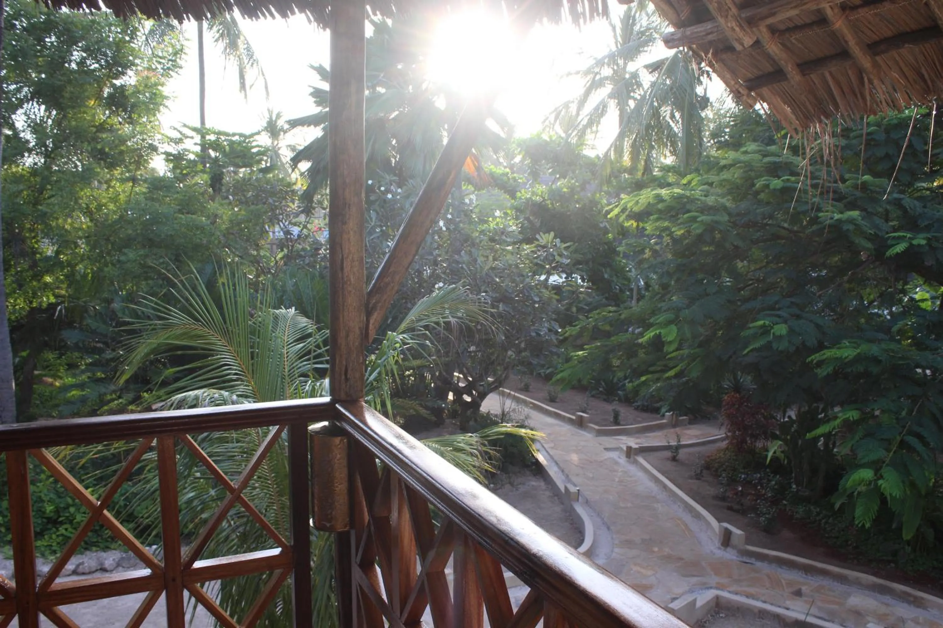 Garden in Zoi Retreat Hotel Zanzibar