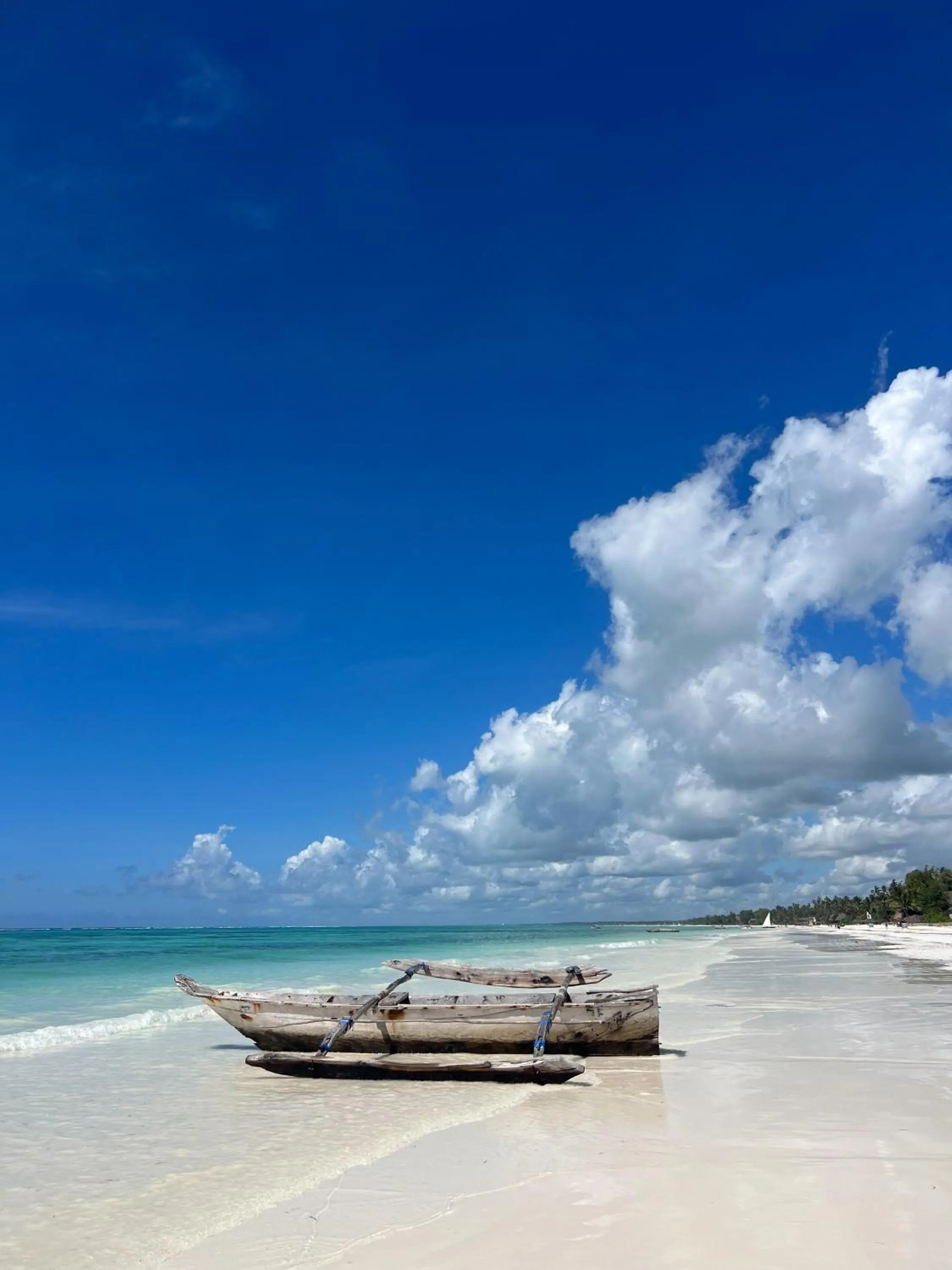 Neighbourhood in Zoi Retreat Hotel Zanzibar