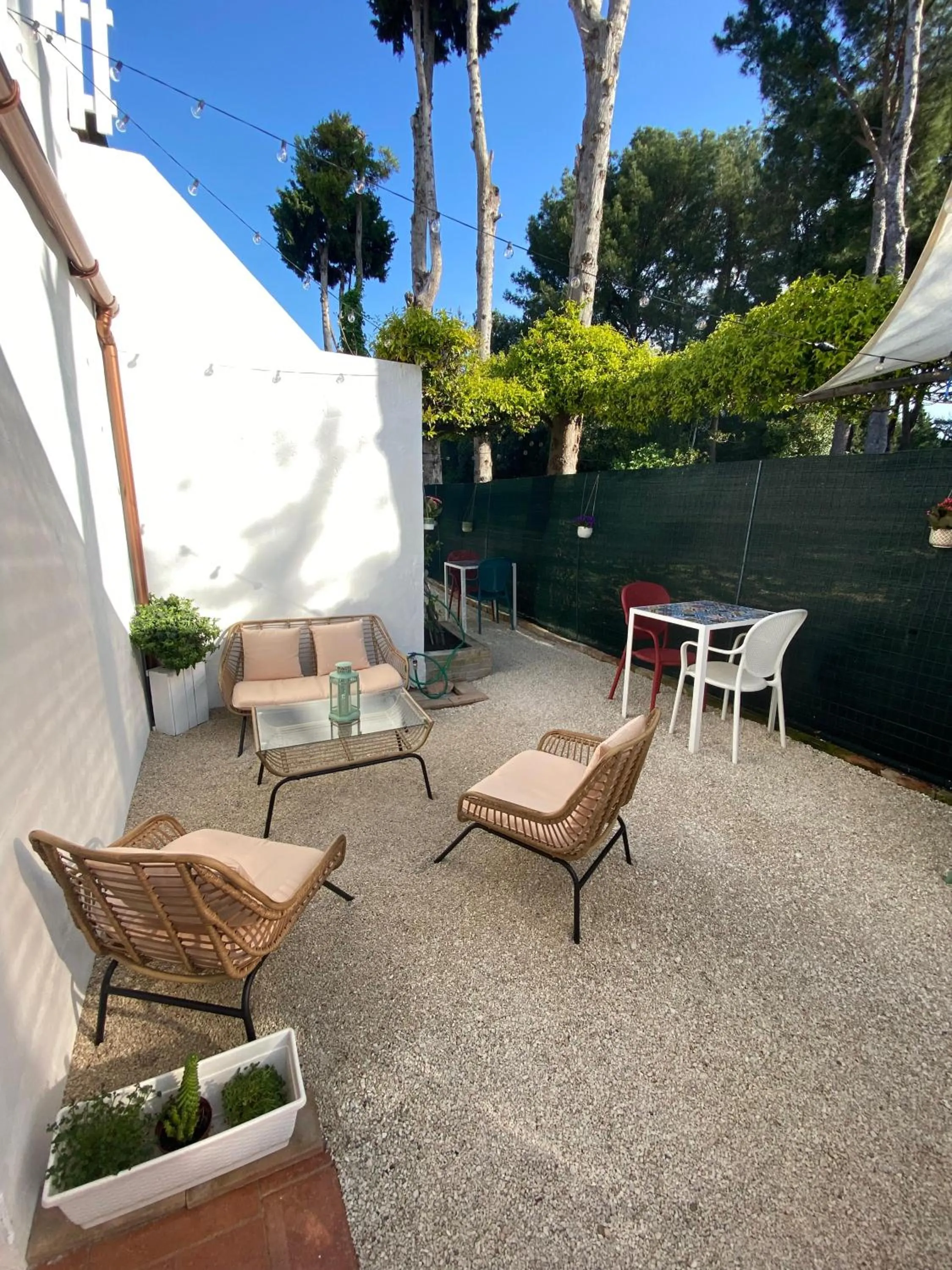 Garden in Zimmer Camere