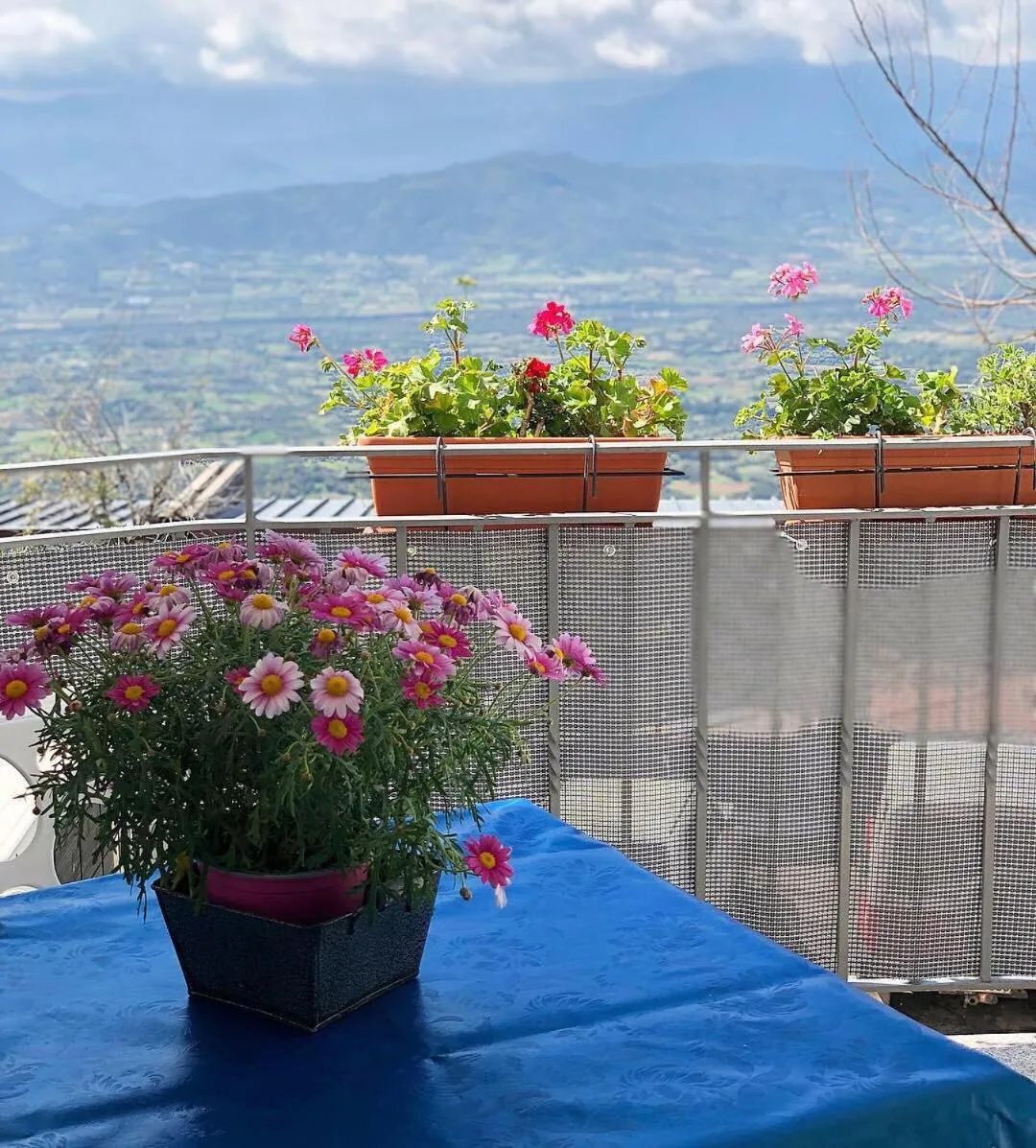 Balcony/Terrace in B&B Sa Clarera