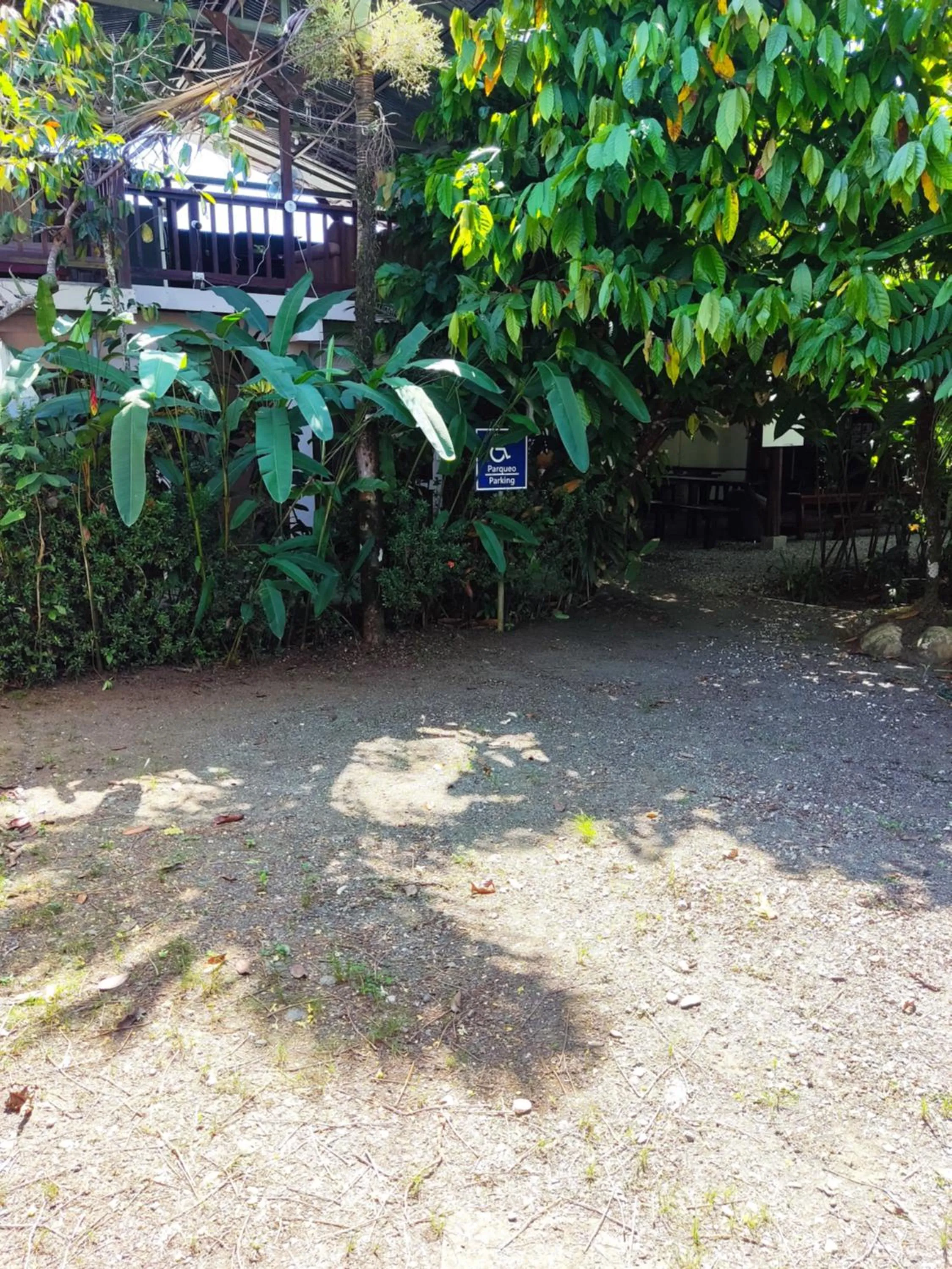 Garden in Cabinas Tropicales