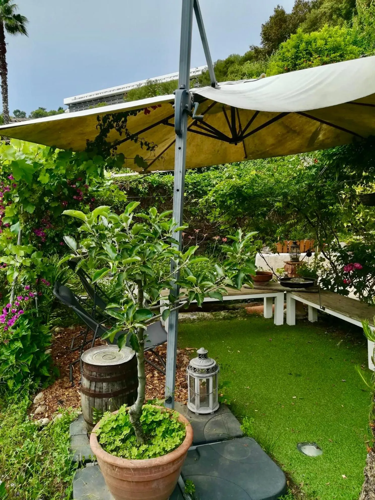 Patio in Villa Bellabé