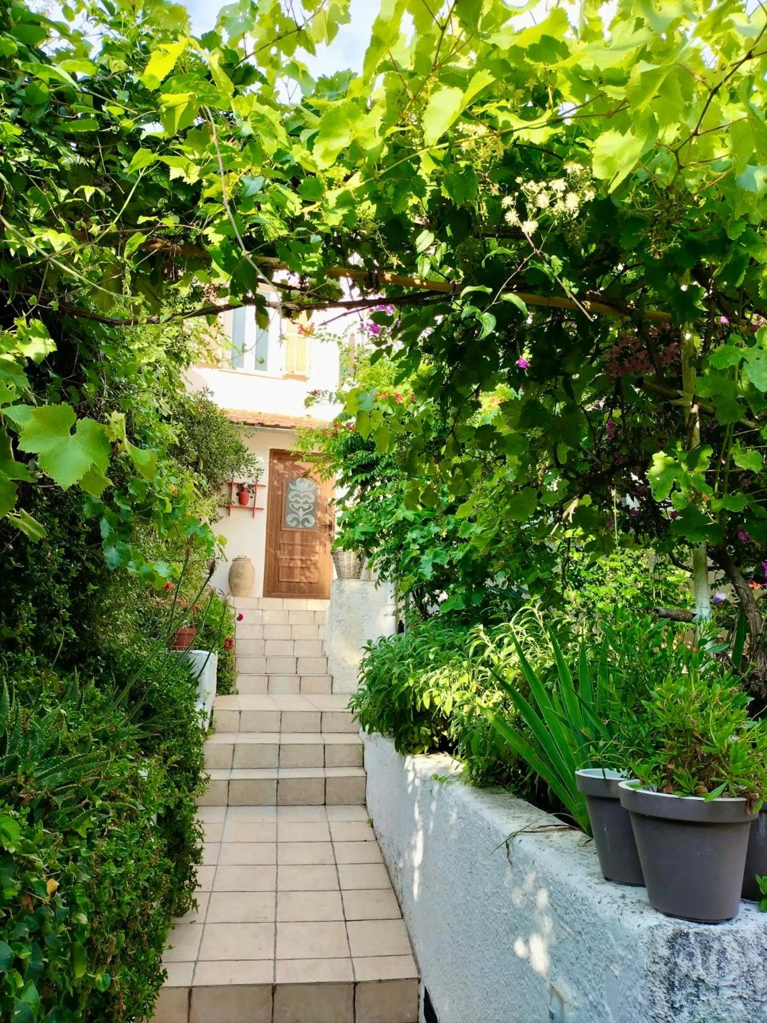 Garden in Villa Bellabé