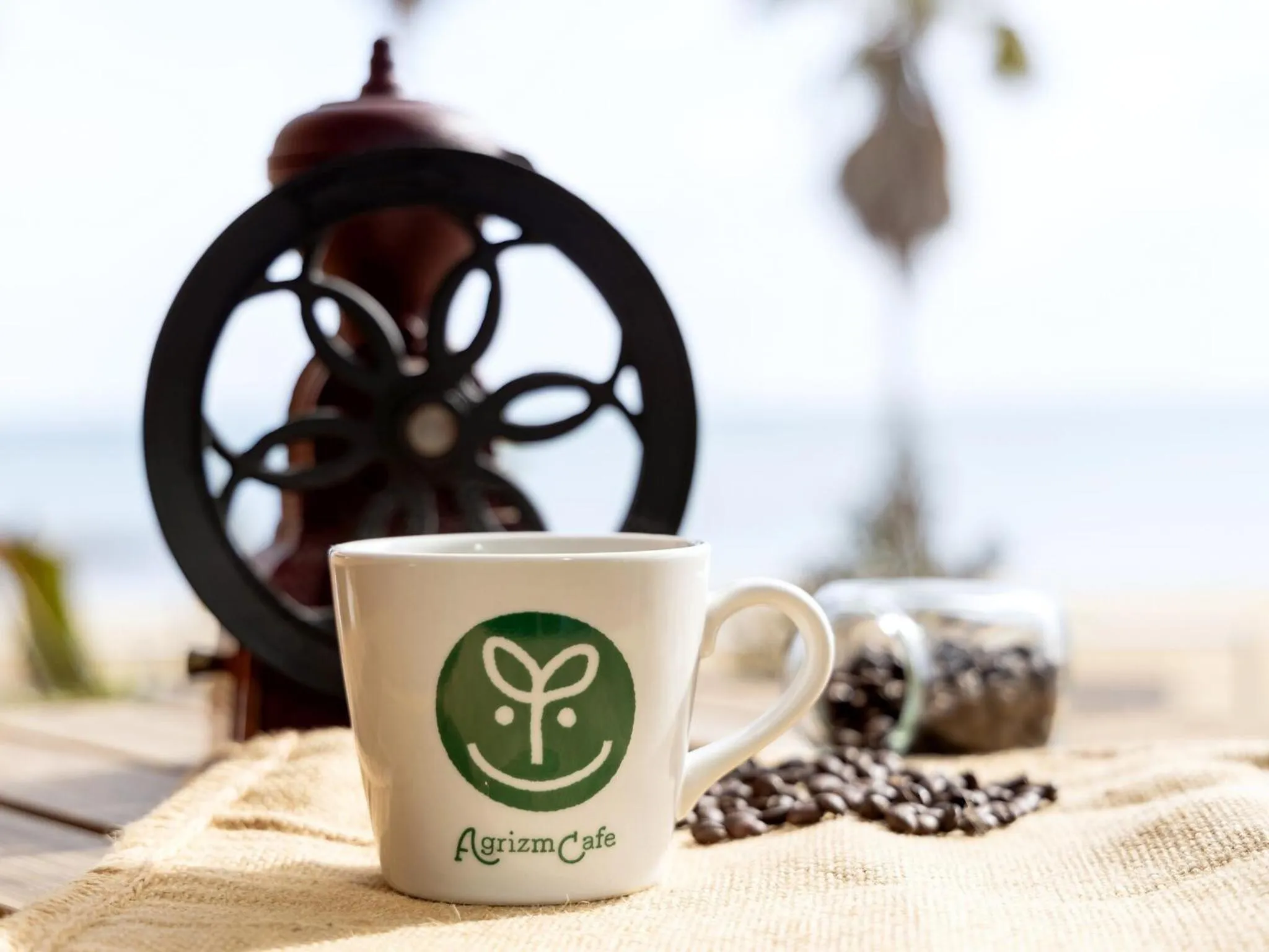 Area and facilities in そらすな Beach Side Resort Hotel